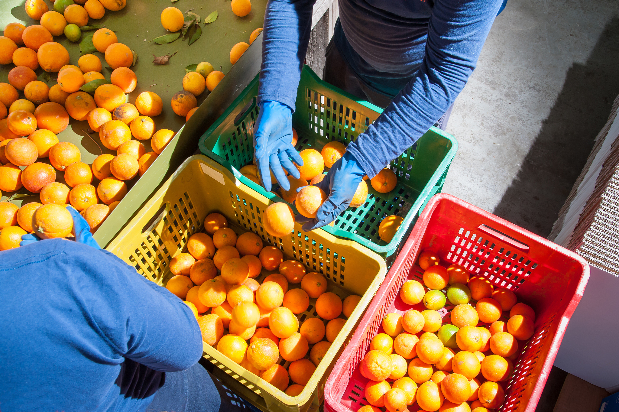 # オレンジの出荷 Oranges## 题面翻译## 题目描述CXR决定将收获的$n$个橙子分装进一些箱子内。在NXY的工厂中橙子排列在输送带上依次编号为$1n$。橙子$i1leq ileq n$的大小为$A_i$。由于分拣不方便同一个箱子内橙子的编号必须连续。一个箱子内最多可以装$m$个橙子。在一个箱子内装一些橙子的成本为$k+stimes a-b$。$k$是箱子本身的成本所有箱子的成本一样。$