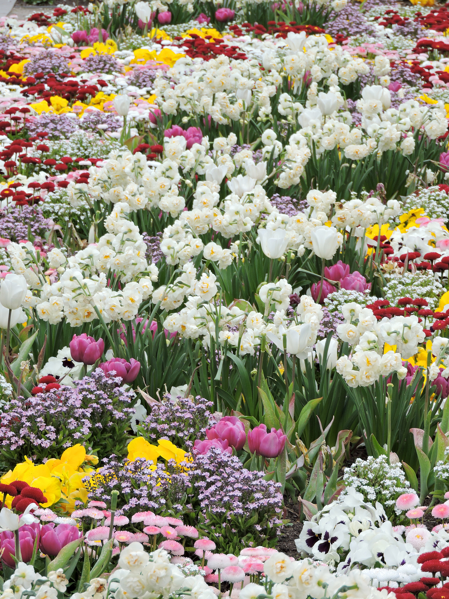 贵阳职业技术学院园林工程技术专业学什么?课程设置全面解析