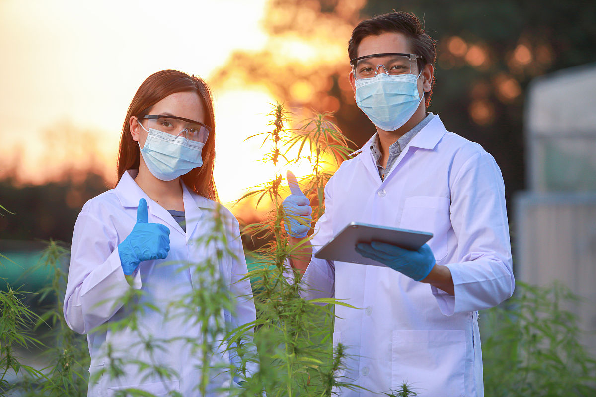 关于参编生态保护红线勘界定标行业标准的请示