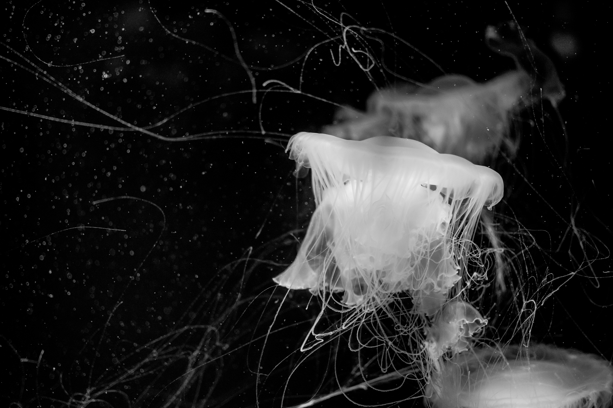 云南轻工业学校2022年招生专业有哪些