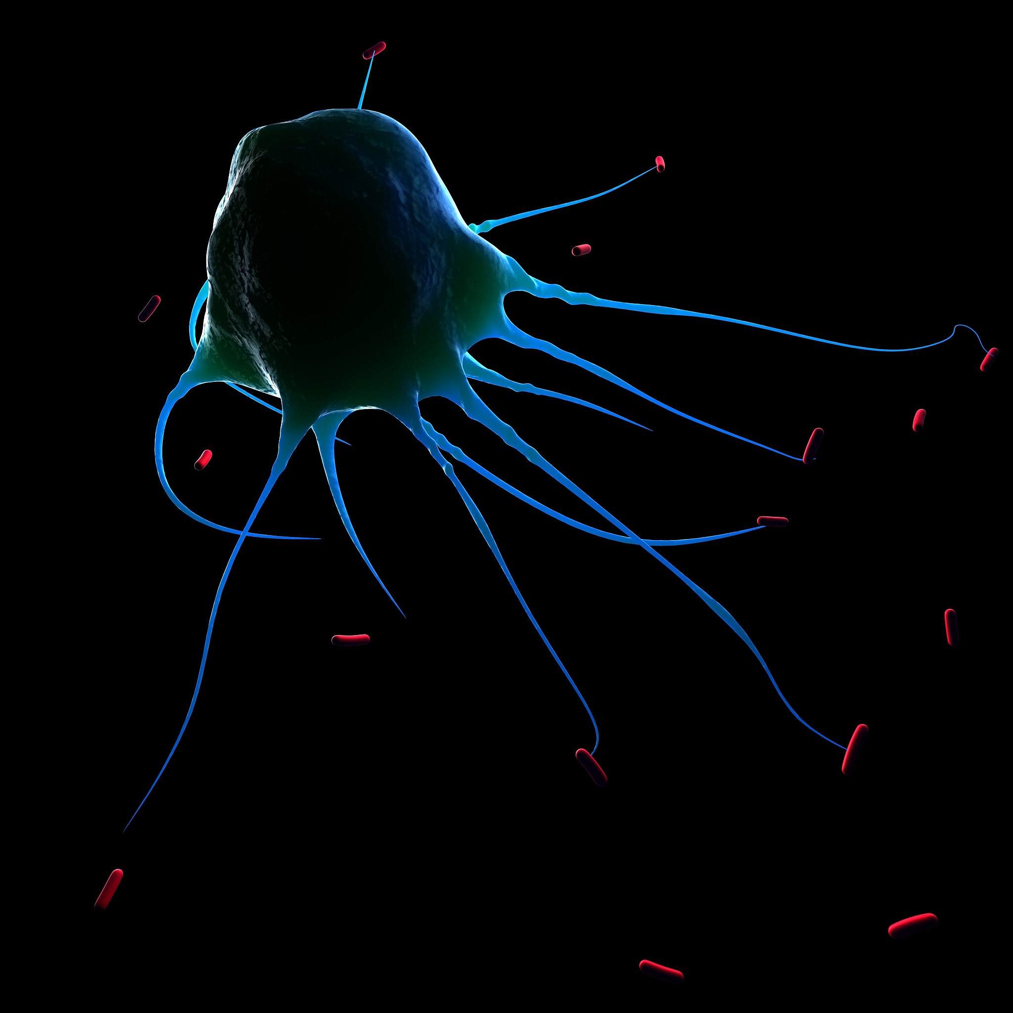 Frontiers in Cell and Developmental Biology: 细胞和发育生物学领域的开放获取期刊