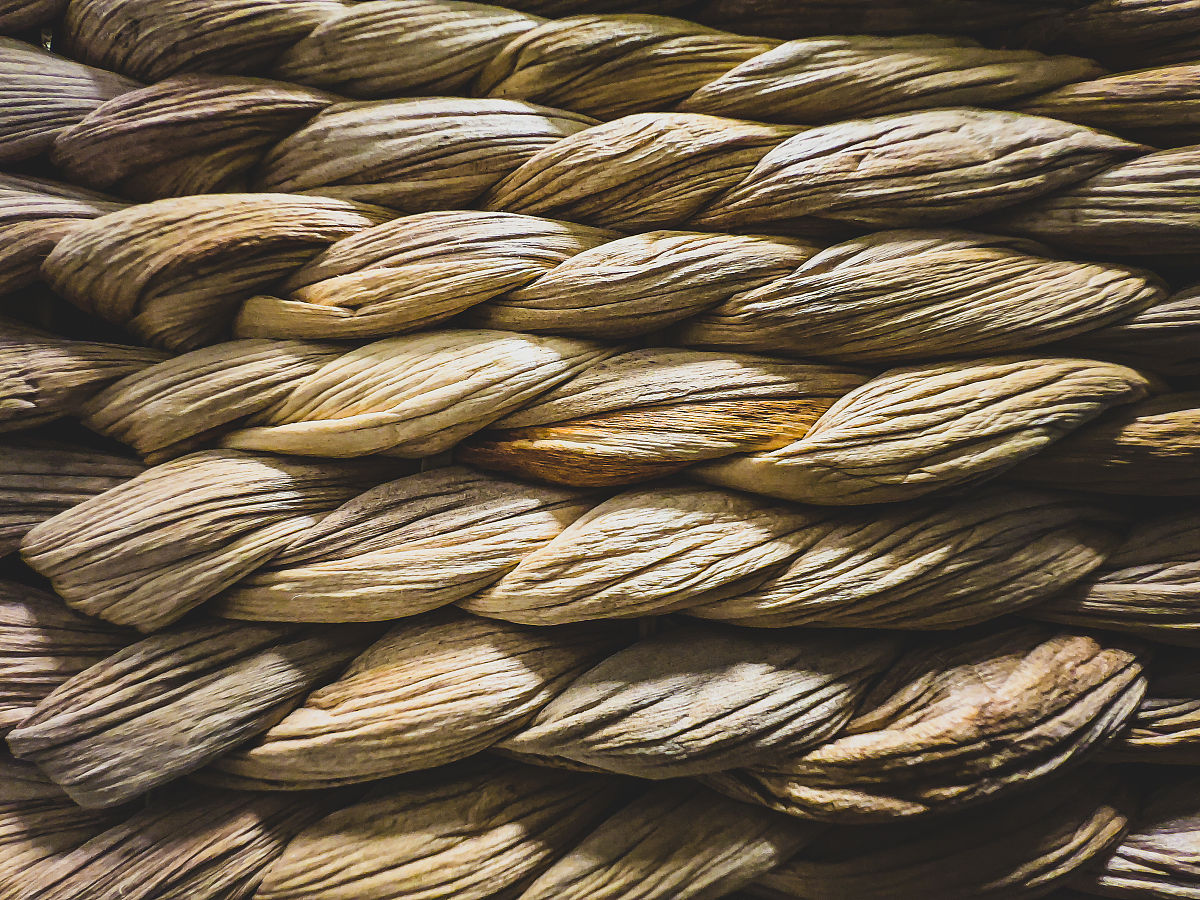 广东新兴中药学校2020年招生简章