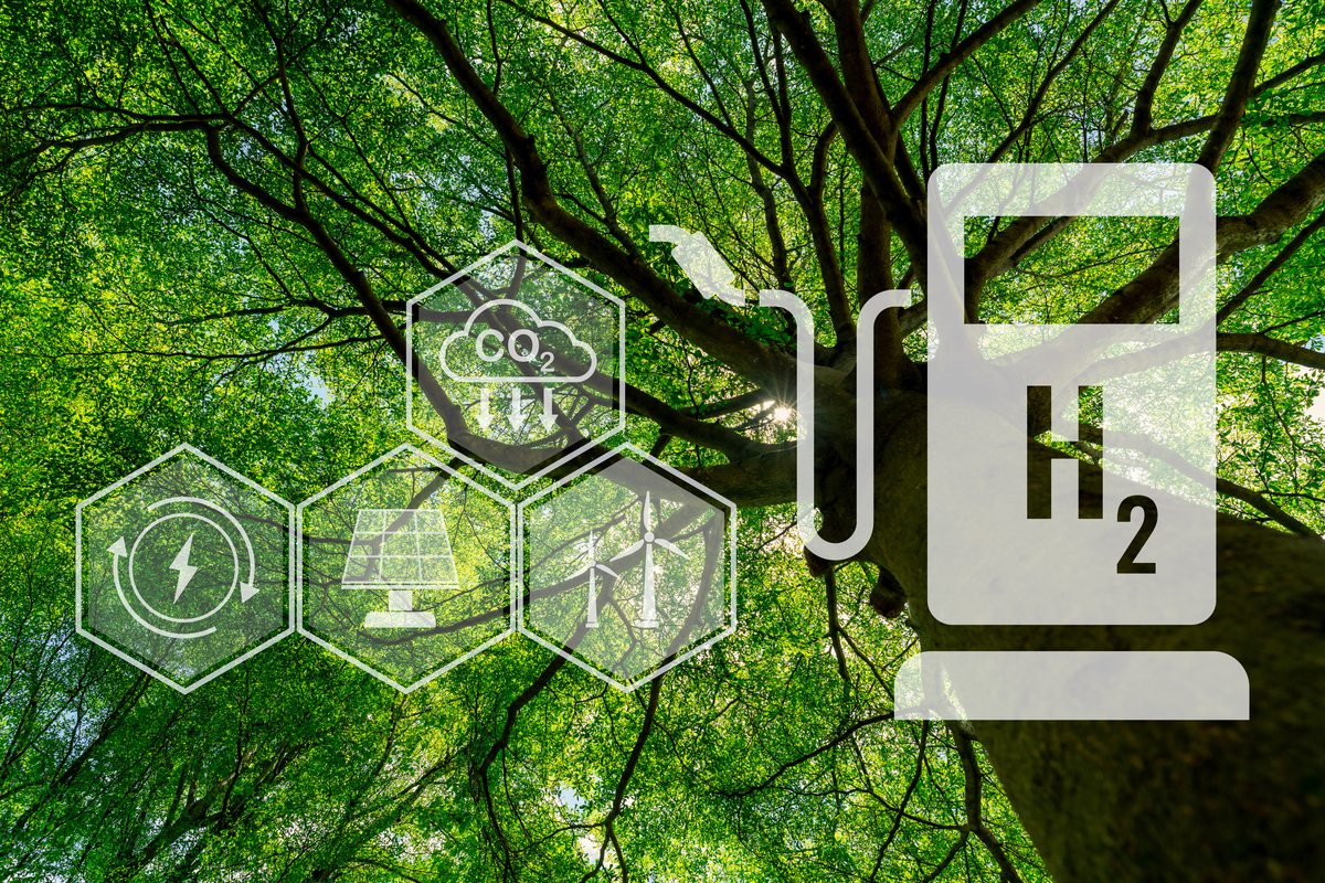 Annual Review of Environment and Resources: A Comprehensive Overview of Environmental Research