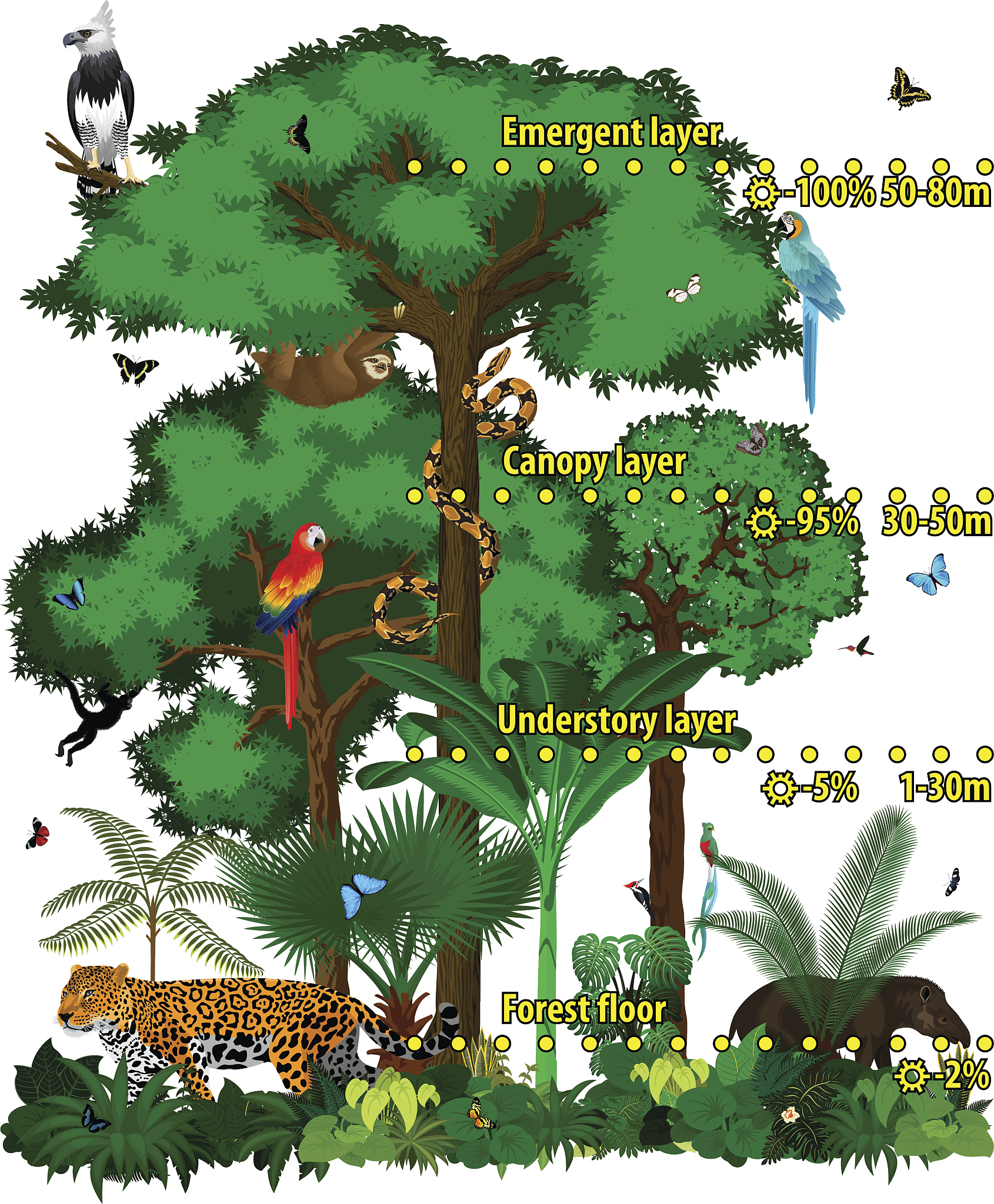 TREE PHYSIOLOGY 期刊: 树木生理学和生物化学领域的领先期刊