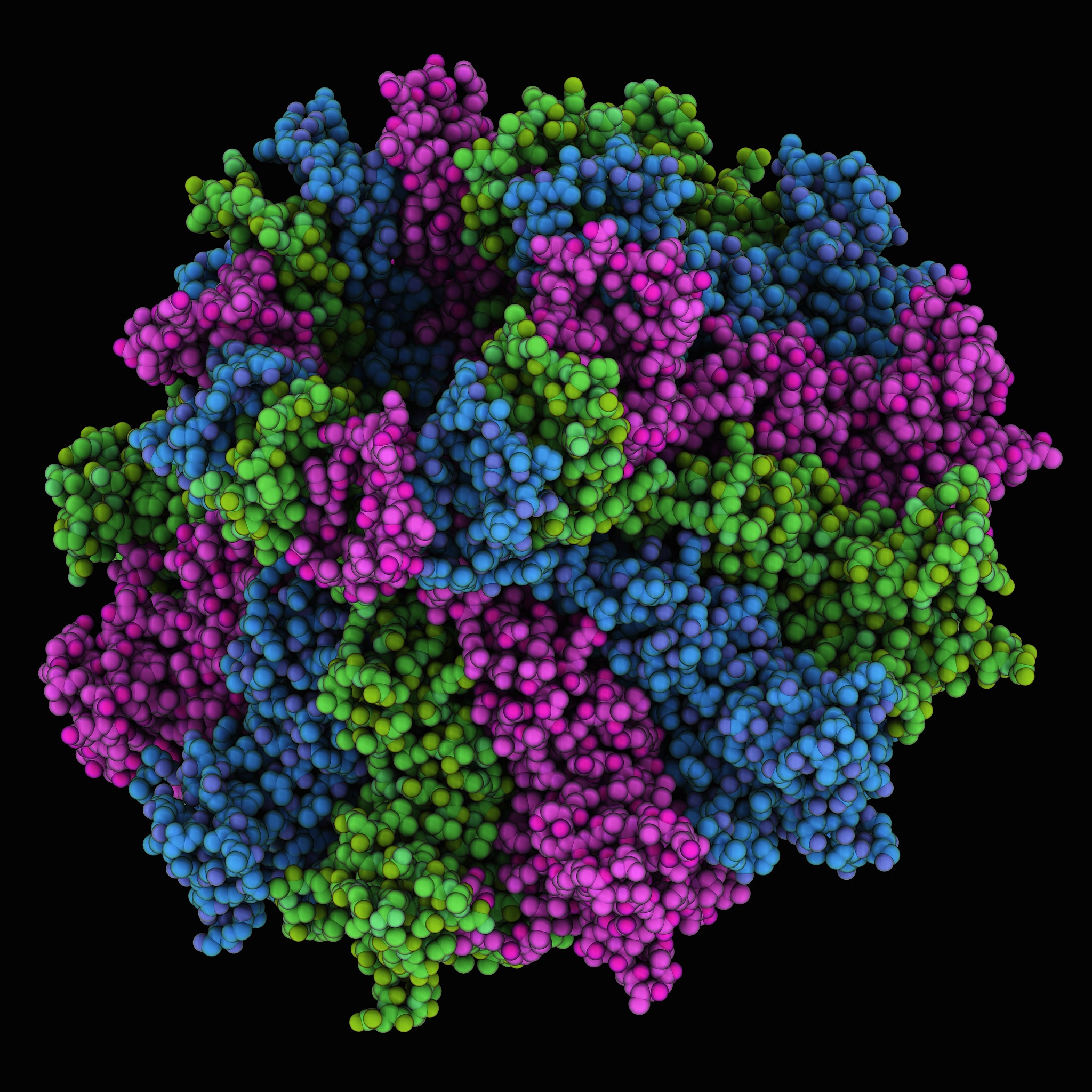 噬菌体受体结合蛋白库：构建、应用与研究
