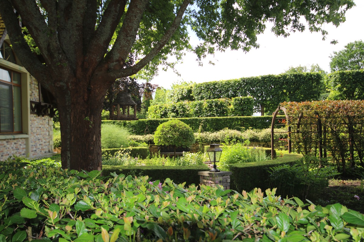 论述乡土植物在西安兴庆公园应用研究的研究意义不少于500字。