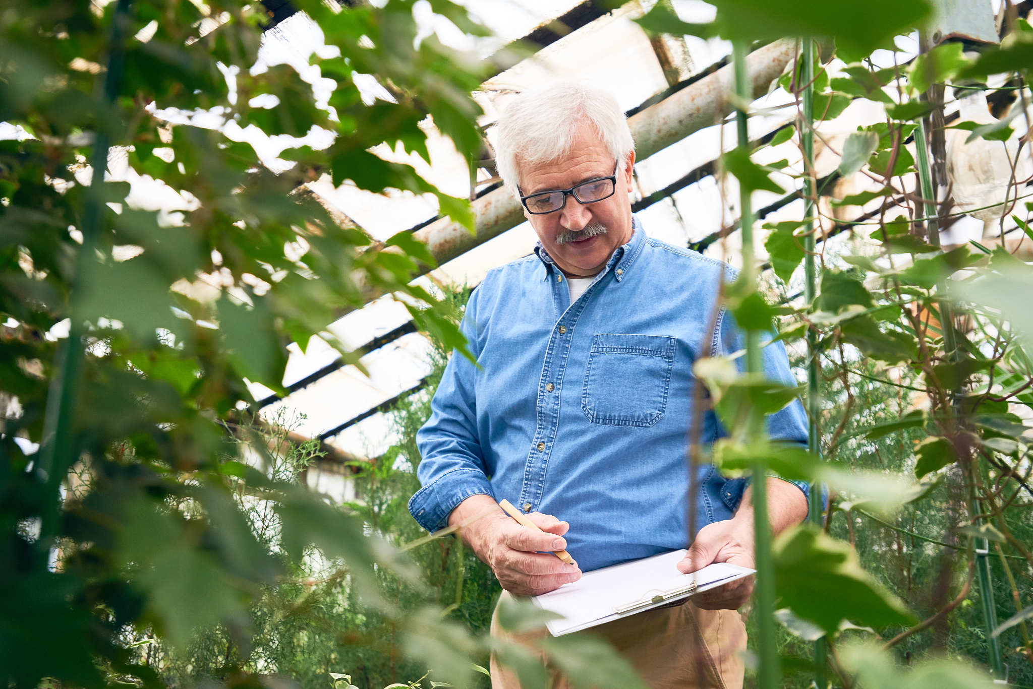 福建农林大学农学专业怎么样？就业前景分析