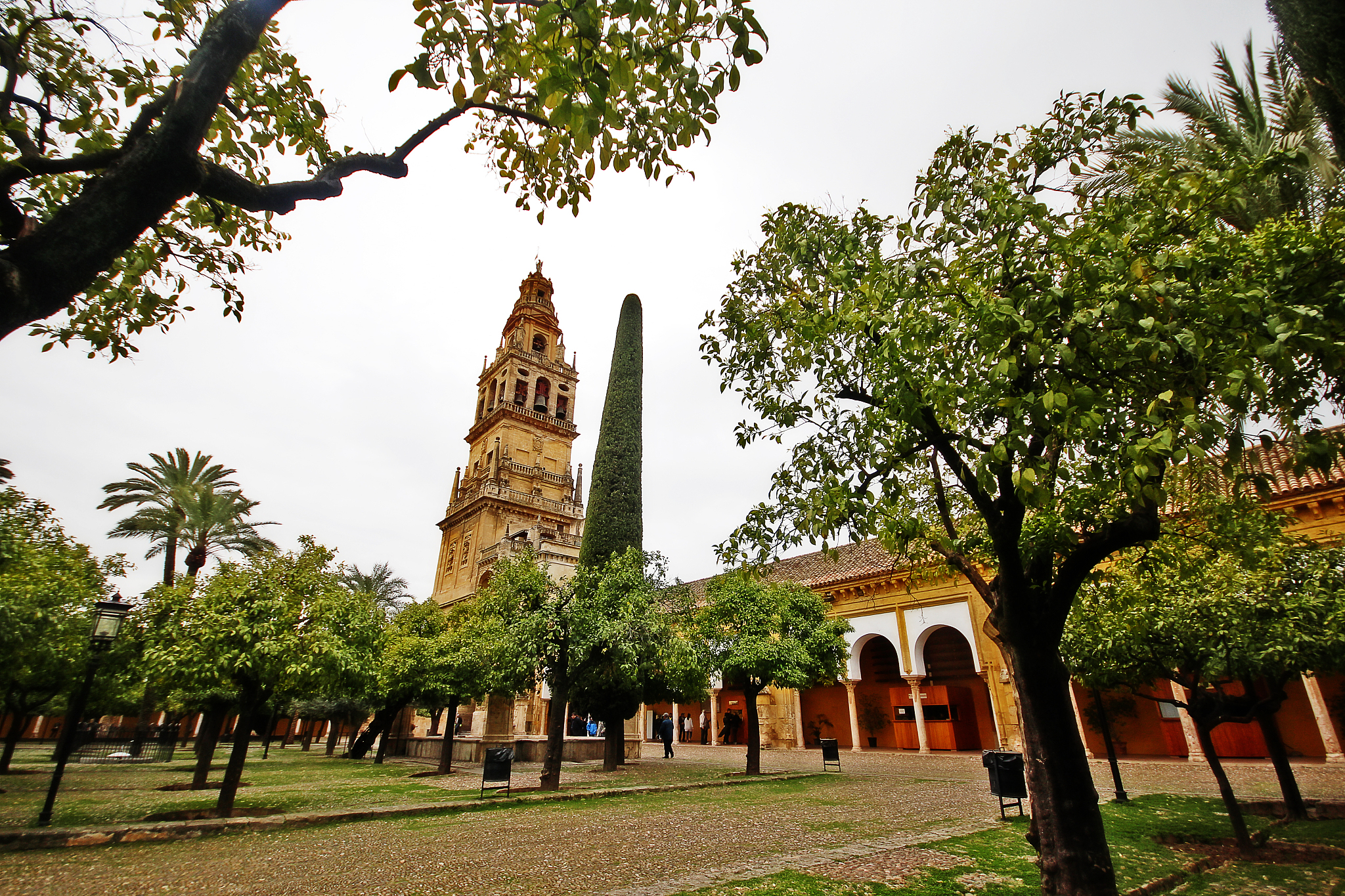 bell tower from court of oranges in mosque–cathedral of cordoba