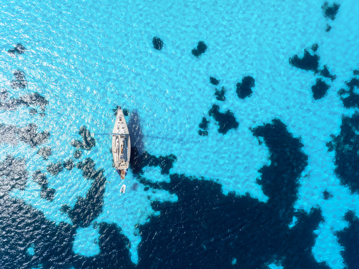 Ocean Lyric: A Song About the Sea's Beauty and Plea for Protection