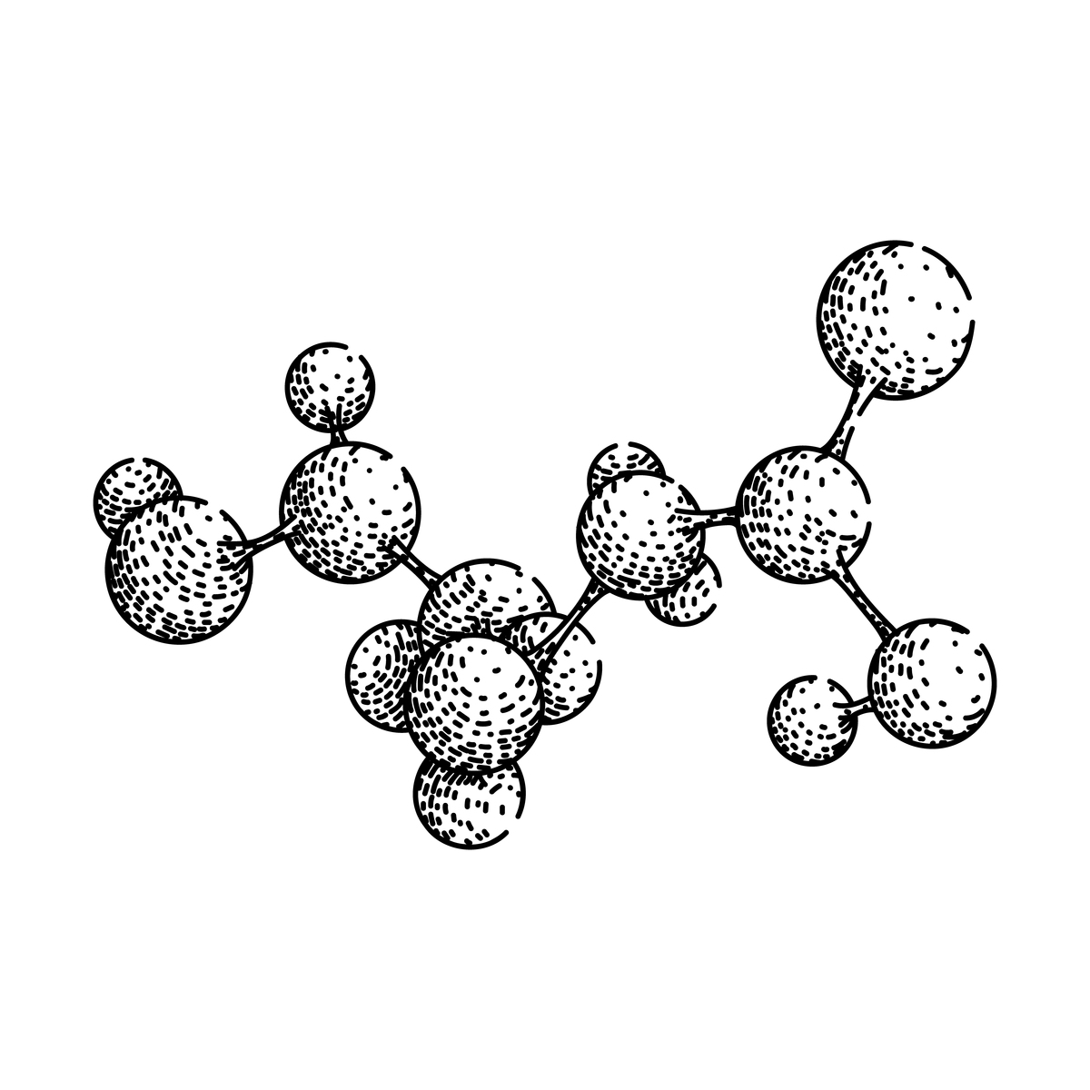 解释下人体分子结构
