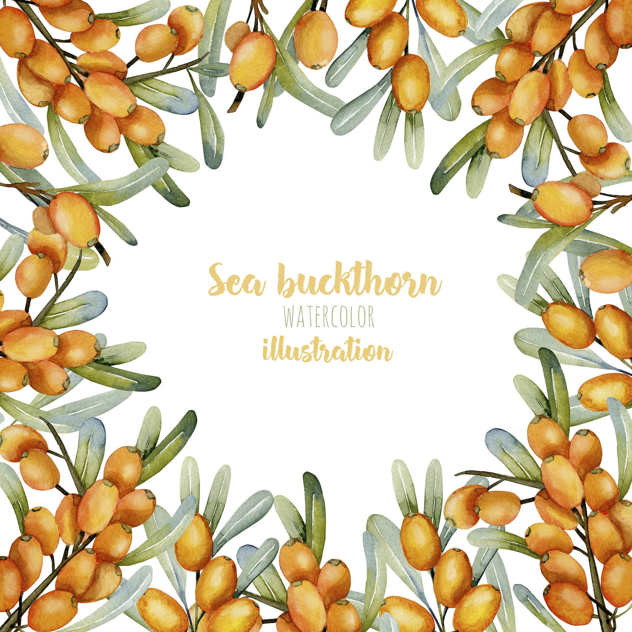 鼎鑫天然沙棘手工精油皂的使用期限是多久？