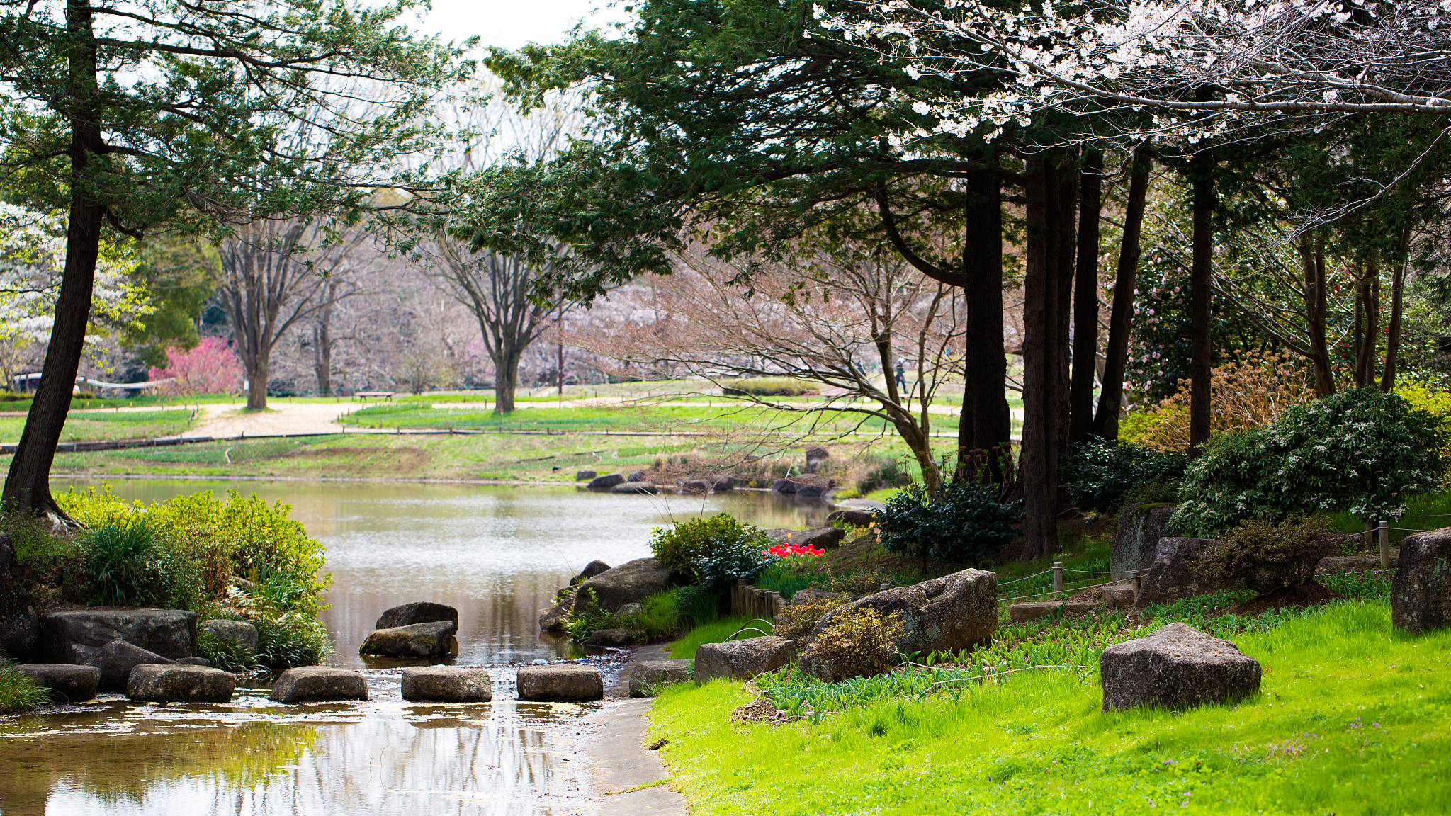 山水游园：人间百态与自然之美