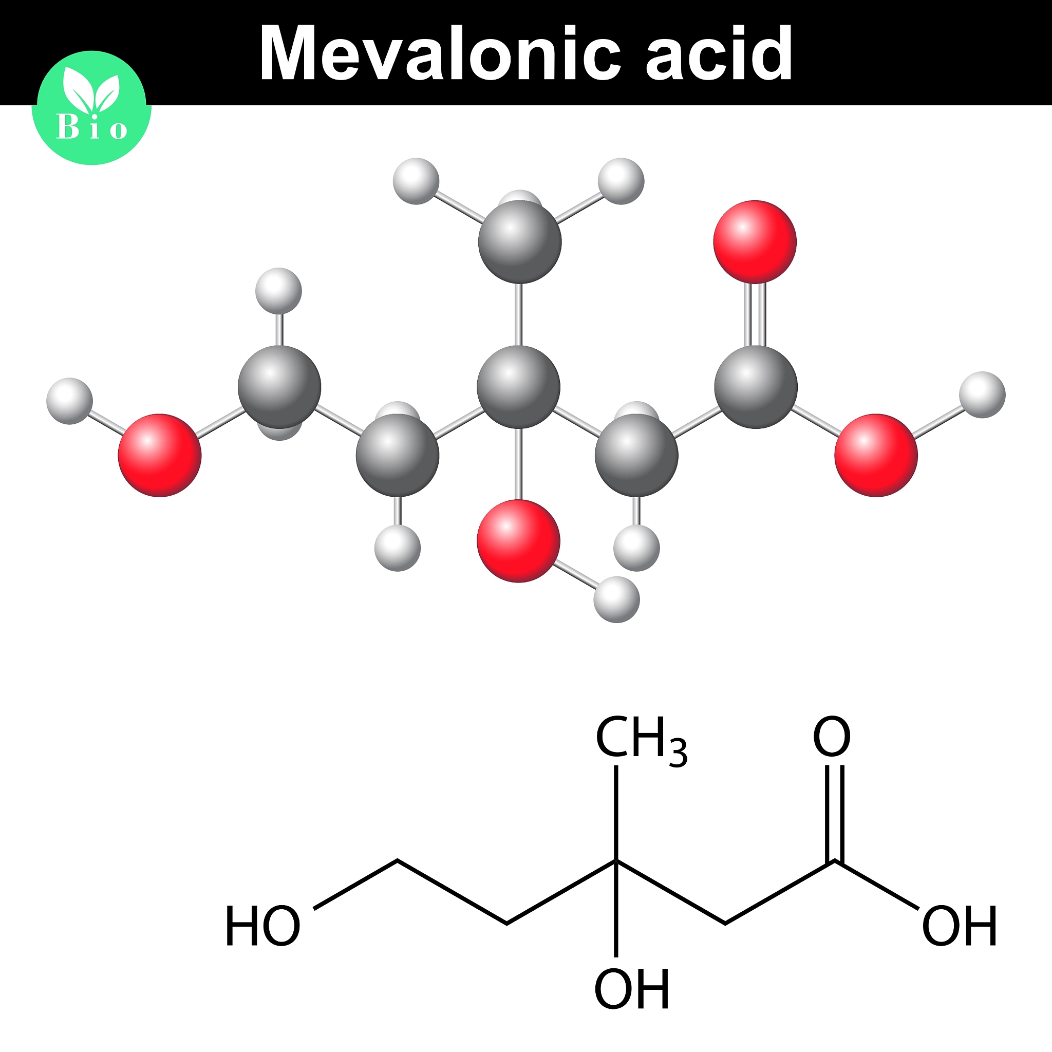 mevalonic acid molecule