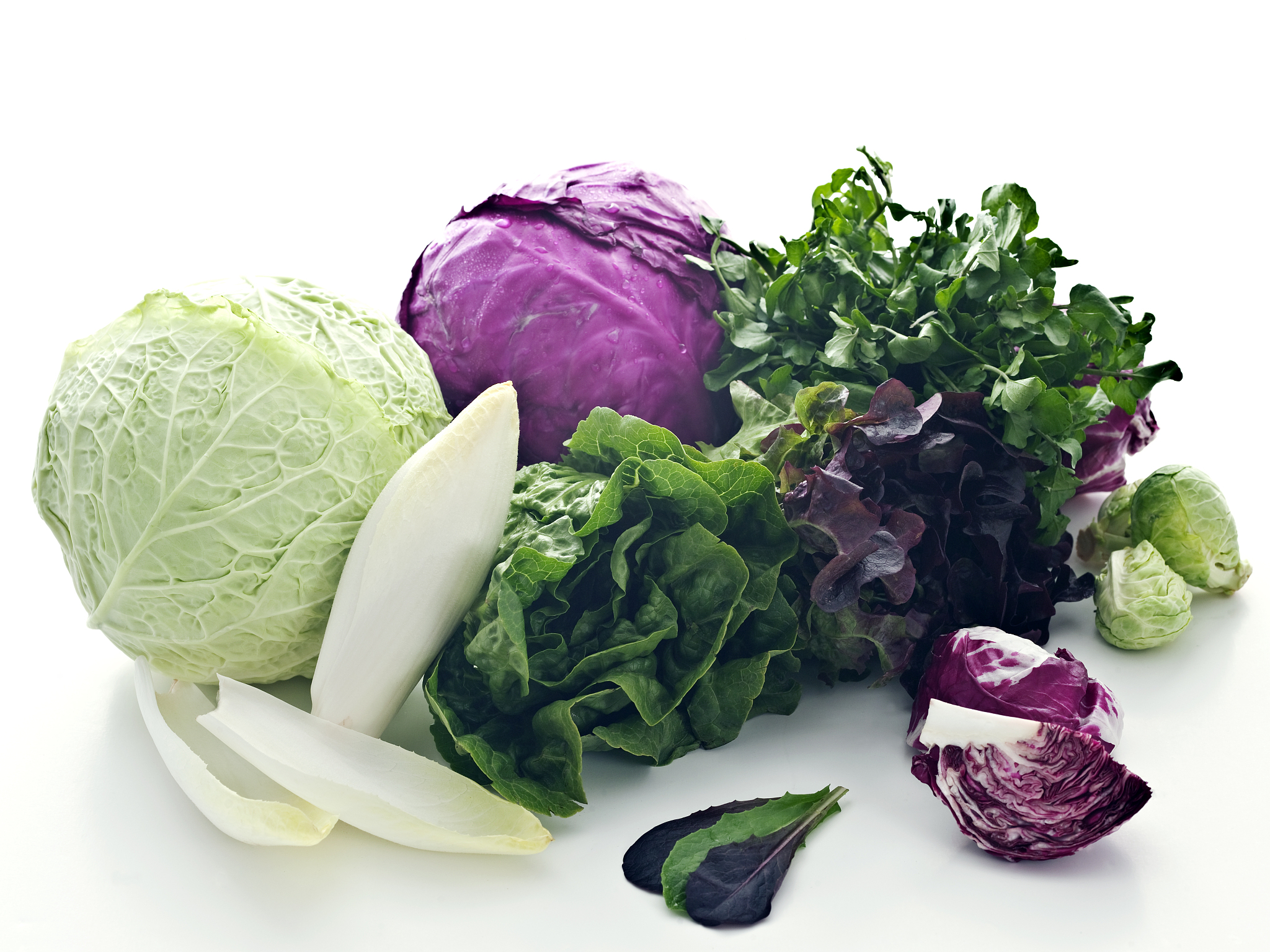 苦菊紫甘蓝能一起吃吗