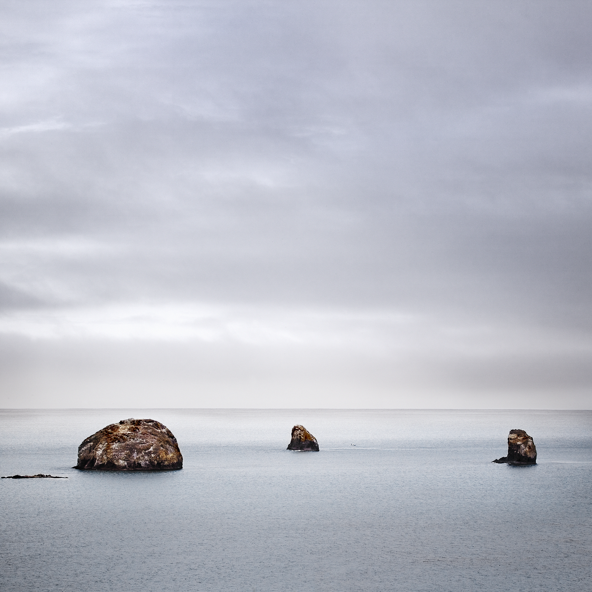 遗世忘累是什么意思