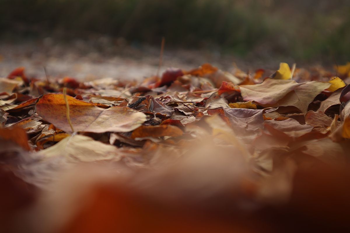 凄凉景象：无人物的悲伤画面