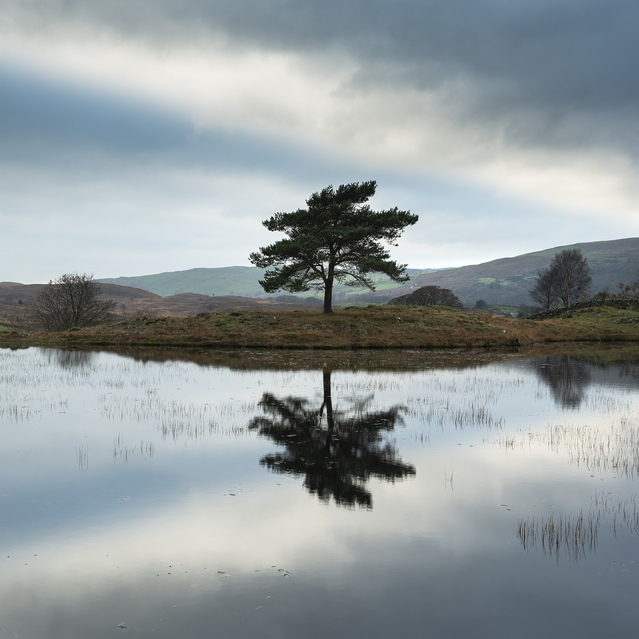 📸 10个超赞的摄影文章标题，激发你的创作灵感！