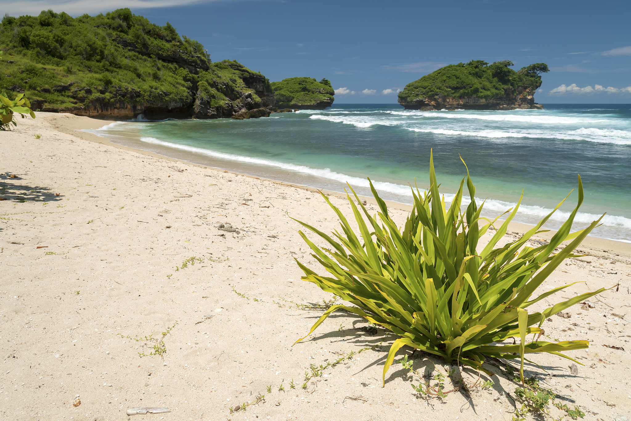 现在你作为腾讯面试官我即将来应聘Java开发工程师岗位接下来你需要不断向我提问我再做相应回答。我回答之后你需要给出一个比较标准的正确答案。下面我的第一句话是：你好