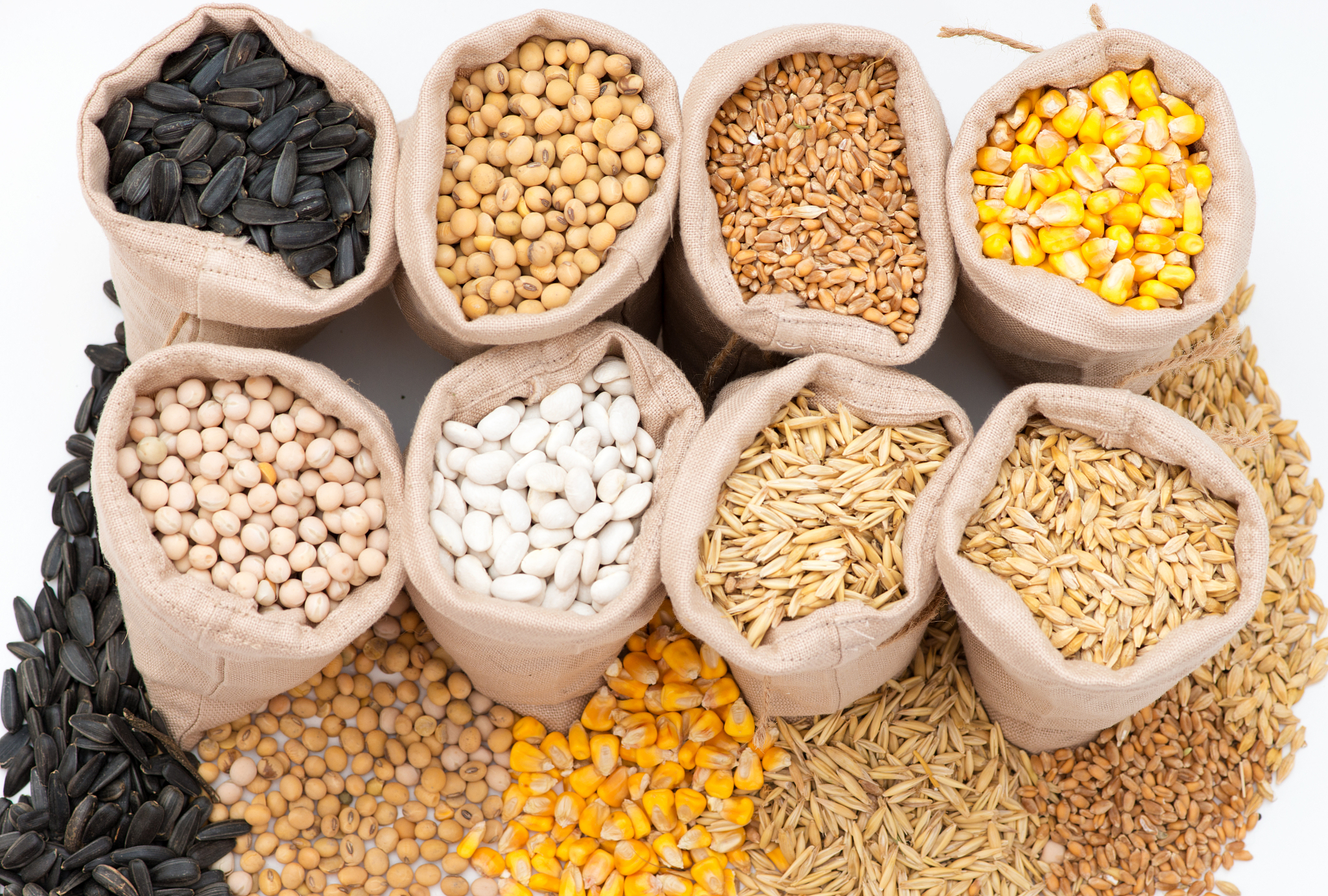 bags with cereal grains