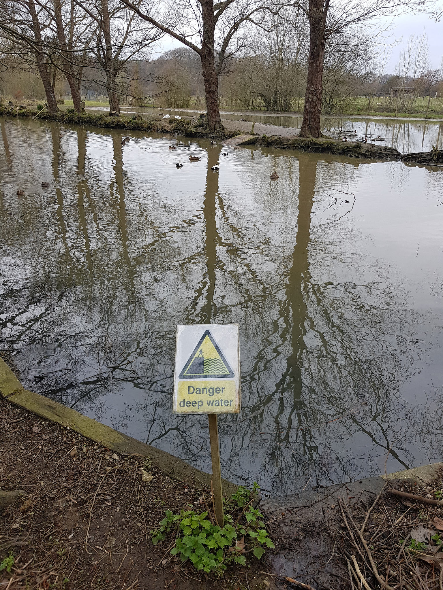 水利工程白蚁等害堤动物隐患普查：保障服务质量，守护堤坝安全