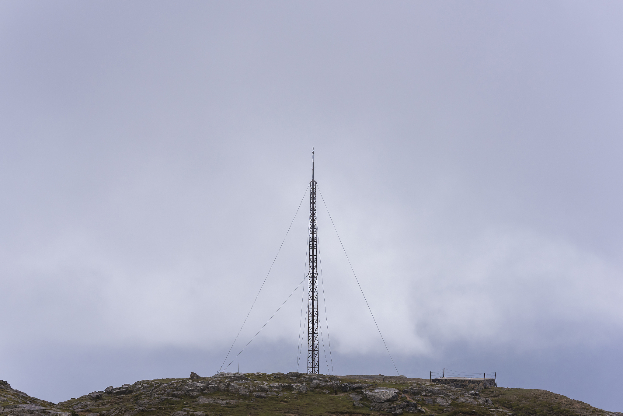 antenna.