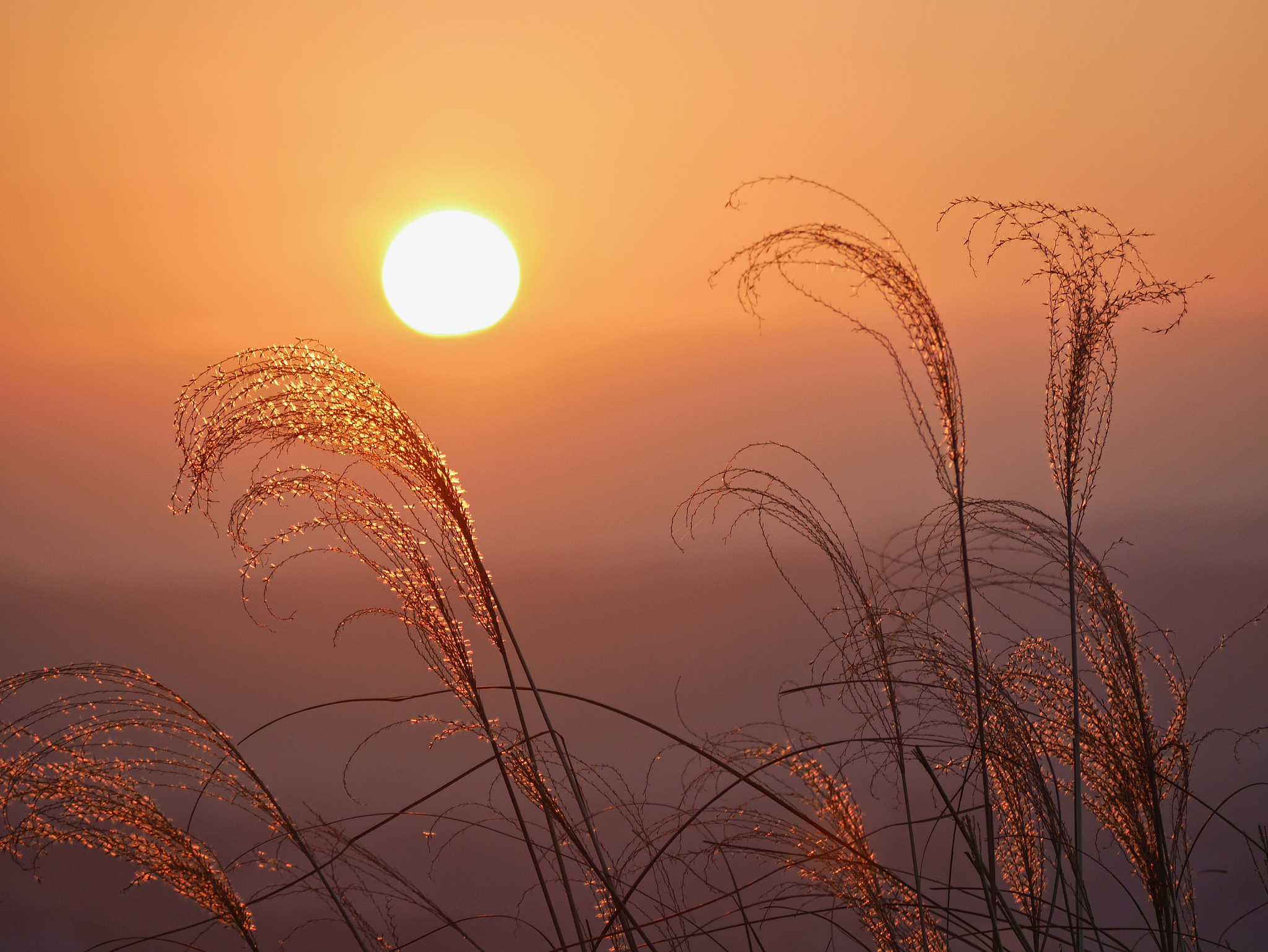 《诗经·彼阳》赏析：太阳升落，美景如画