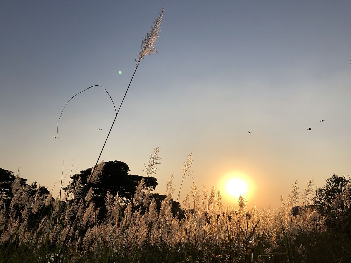 需要几个好听的原创名字