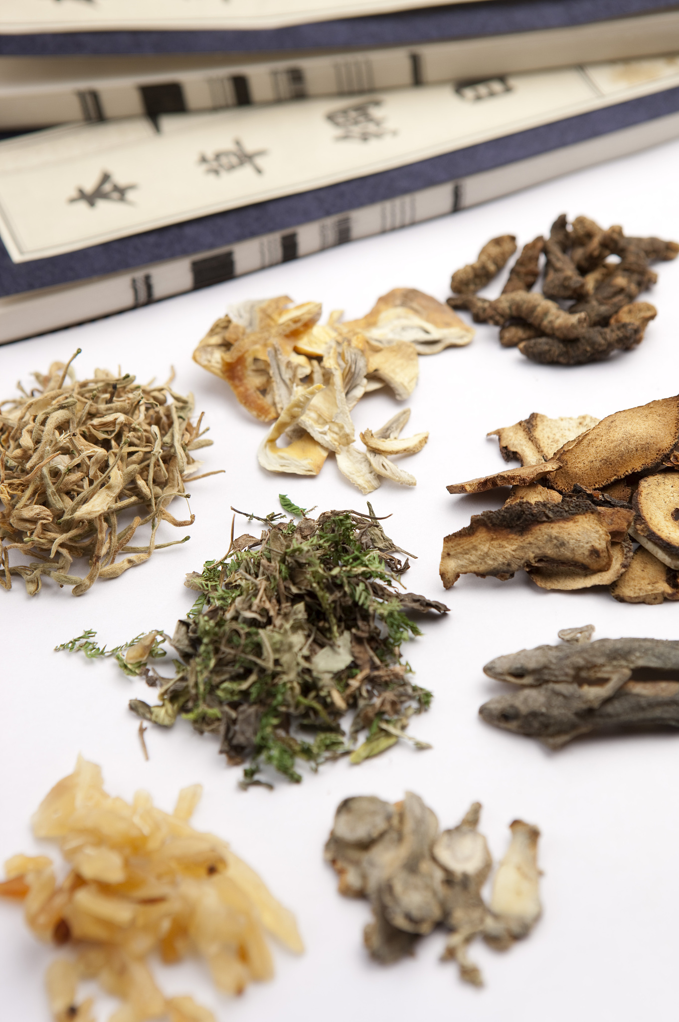 将 木槿皮八角枫根开口箭松根马刺根盐肤木根人茸参秋水仙花生根螃蟹七橐吾瓜蒂定心散水龙骨红毛七千针万线草构树根黑阳参牡丹根金樱根糯稻根雪胆入地老鼠橄榄根手掌参鸡筋参接骨木横经席华山参金不换乌骨藤通关藤豆豉姜金雀根大罗伞雪里开蜘蛛抱蛋勒藕蚕豆根竹节参莨菪盘龙参苎麻根冬青根通城虎峨参杜衡双肾参云实根刺脑包根皮三颗针羊奶果根见血飞降香木患根山豆根十八症茉莉根中药材蒲公英白及白芍白术白芷百部苍术柴胡常山赤芍