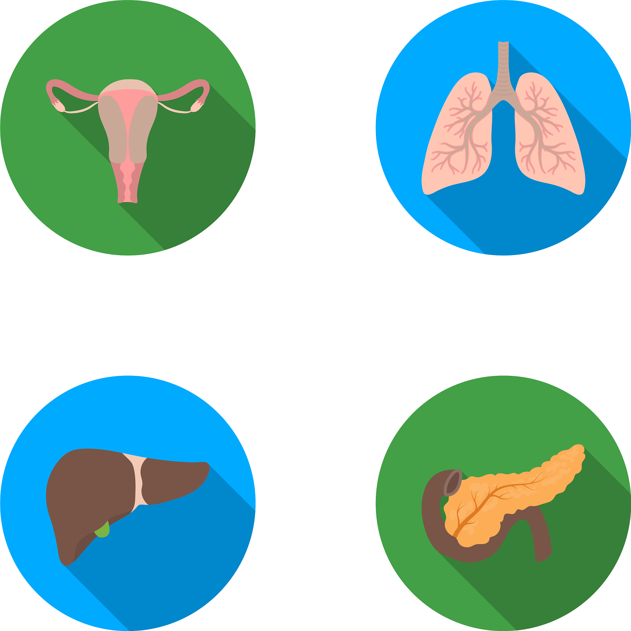 高考英语单词：以元音字母开头但发音非元音的单词及翻译