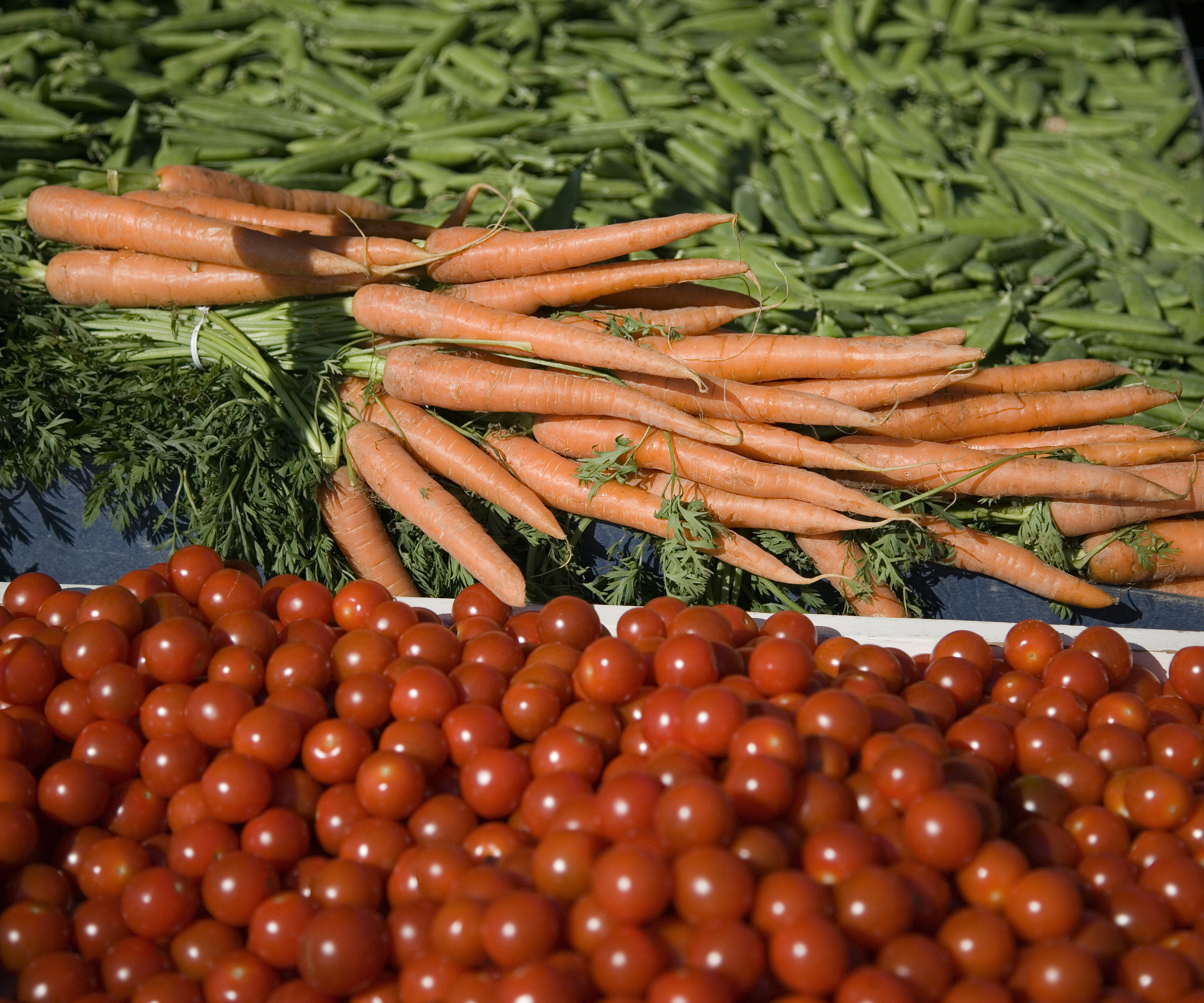 广西桂林农业学校畜牧兽医专业未来发展前景
