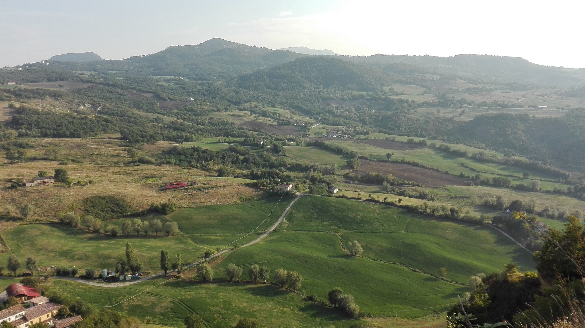 high angle view of trees on field against sky