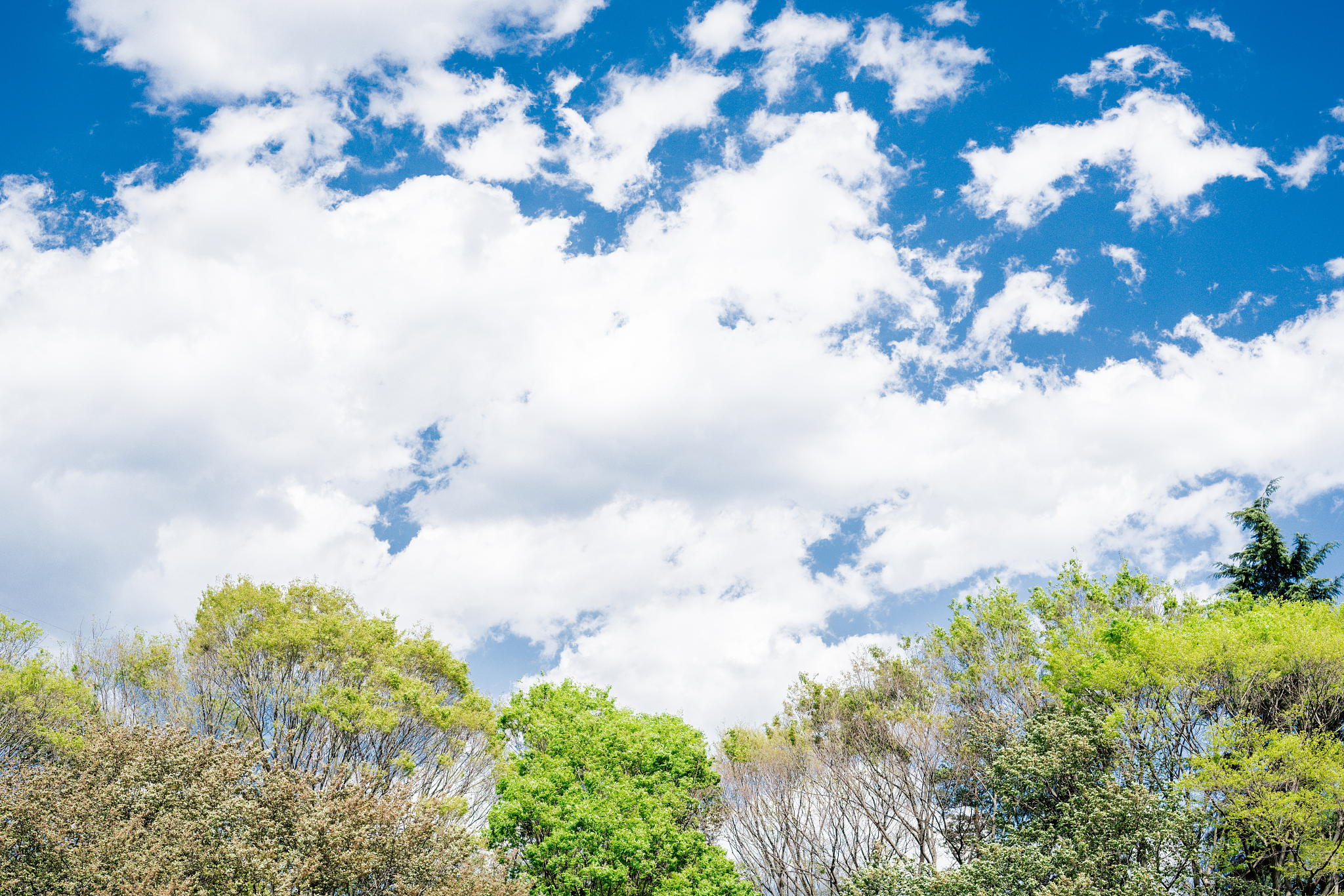 你现在是一名记者写一篇关于当天天气的新闻稿语气亲切一点