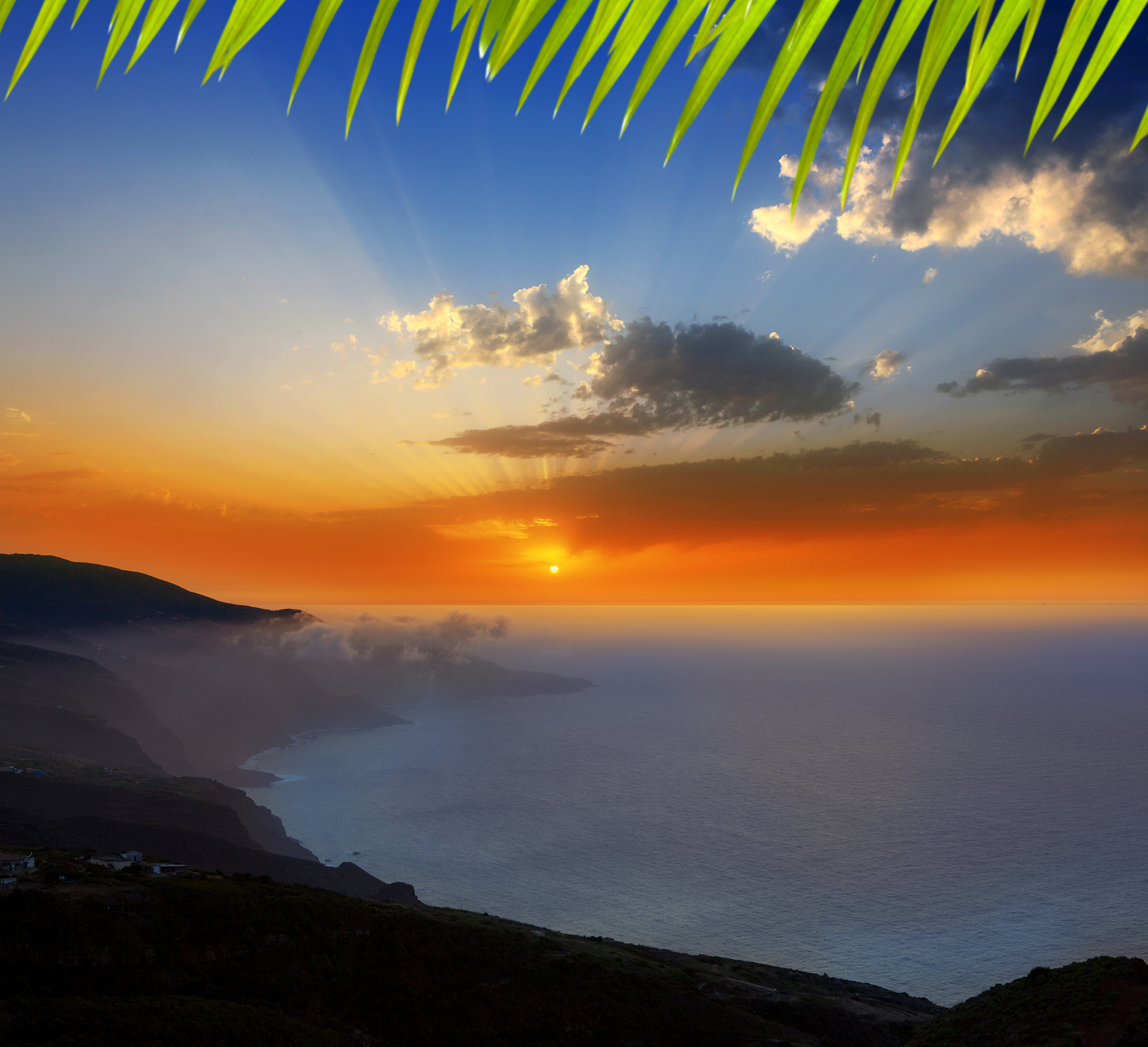 NS 开头的单词：完整列表，包含人名、地名、科技、化学等