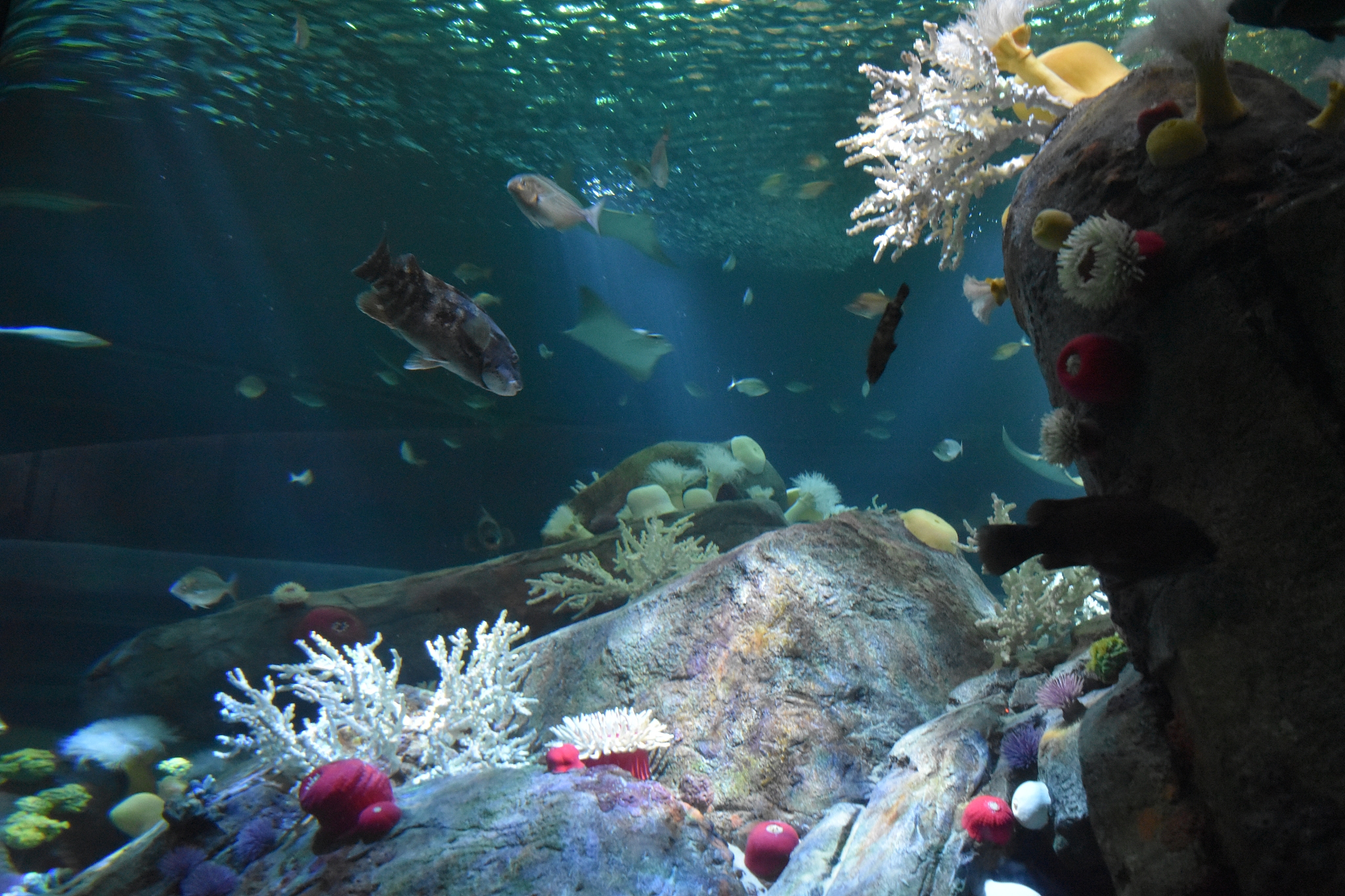 青岛海洋技师学院2022年招生简章