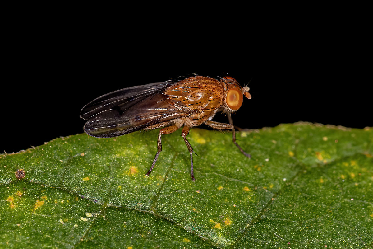 自贡飞鱼职业学校2022年招生简章