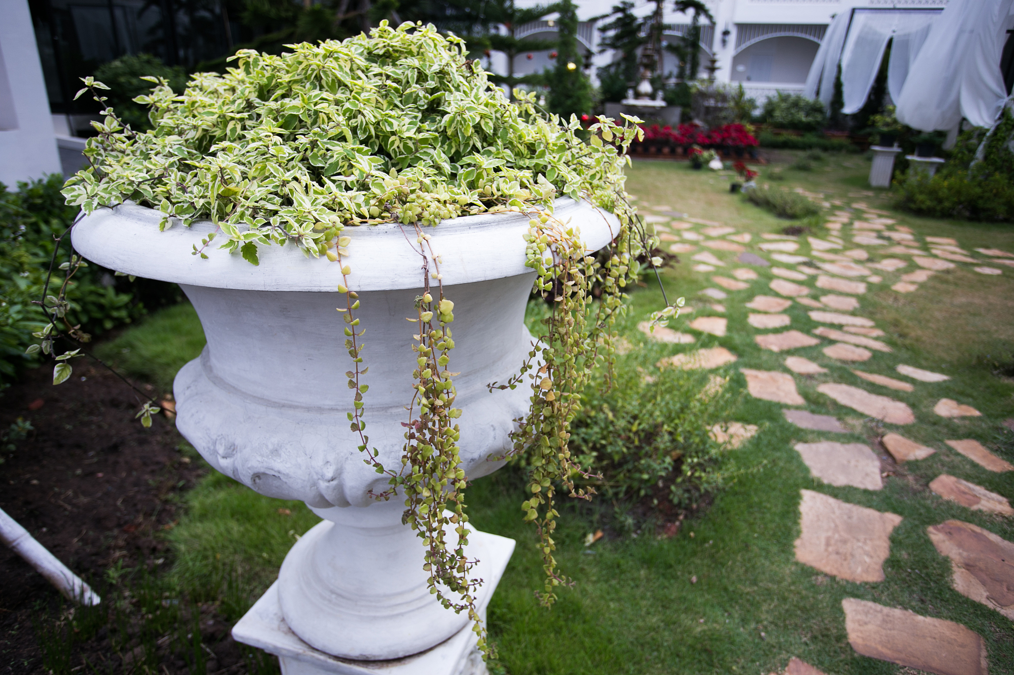 无锡园林技工学校2022年招生专业有哪些？专业选择指南