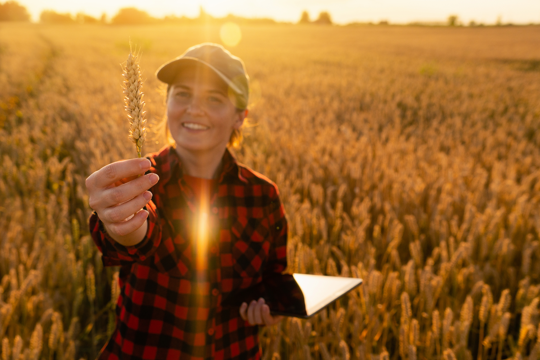 毕节农业学校计算机应用与维护专业好不好