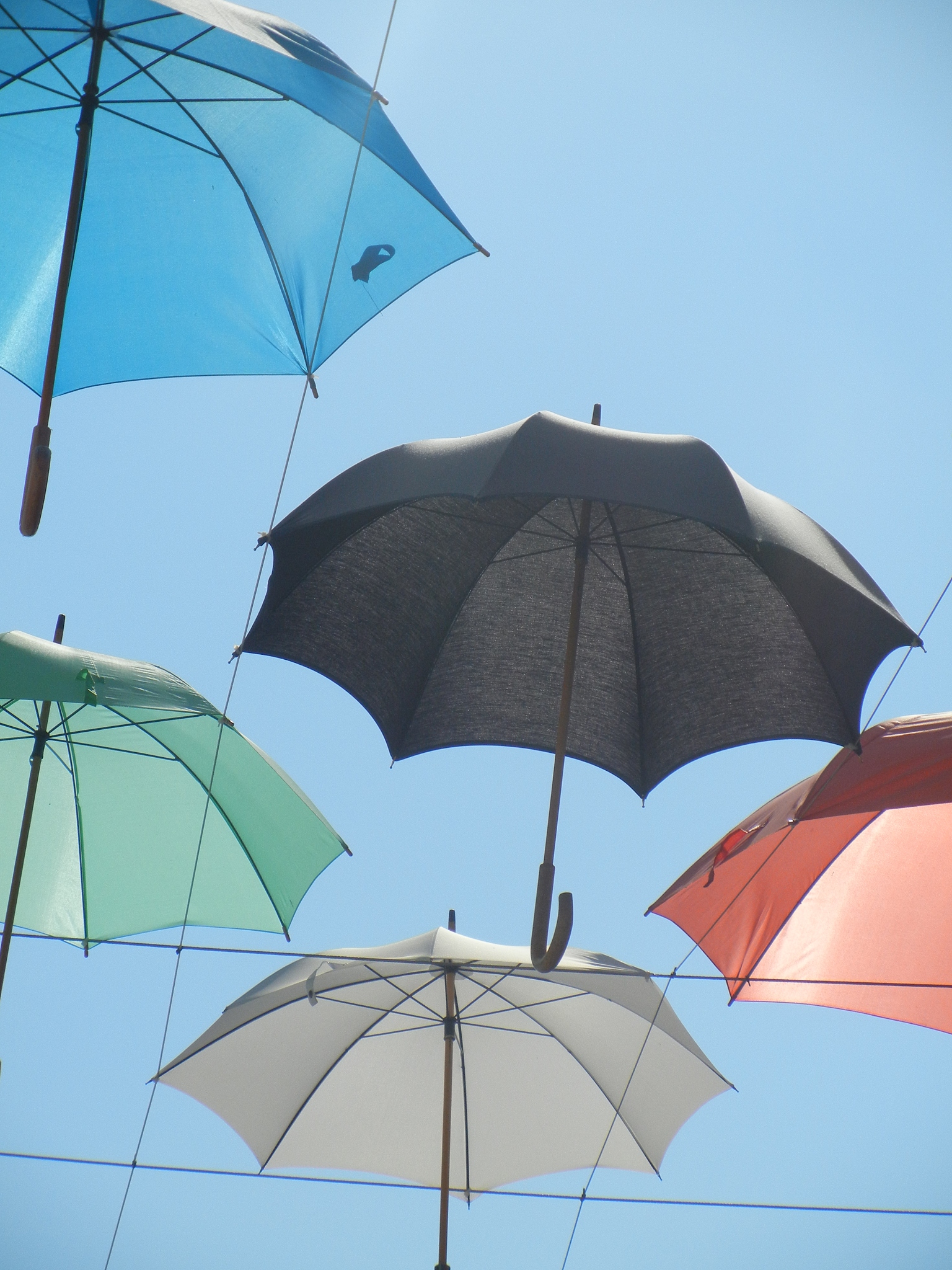 umbrellas' installation in street