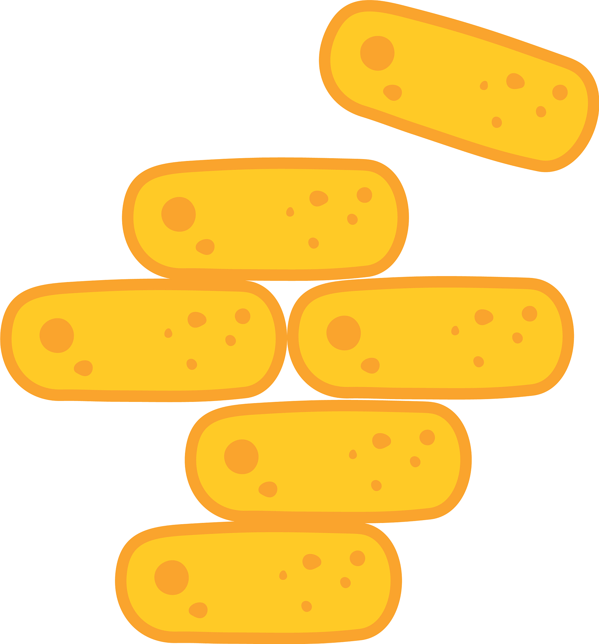 临床微生物学杂志 (Journal of Clinical Microbiology) 研究内容详解