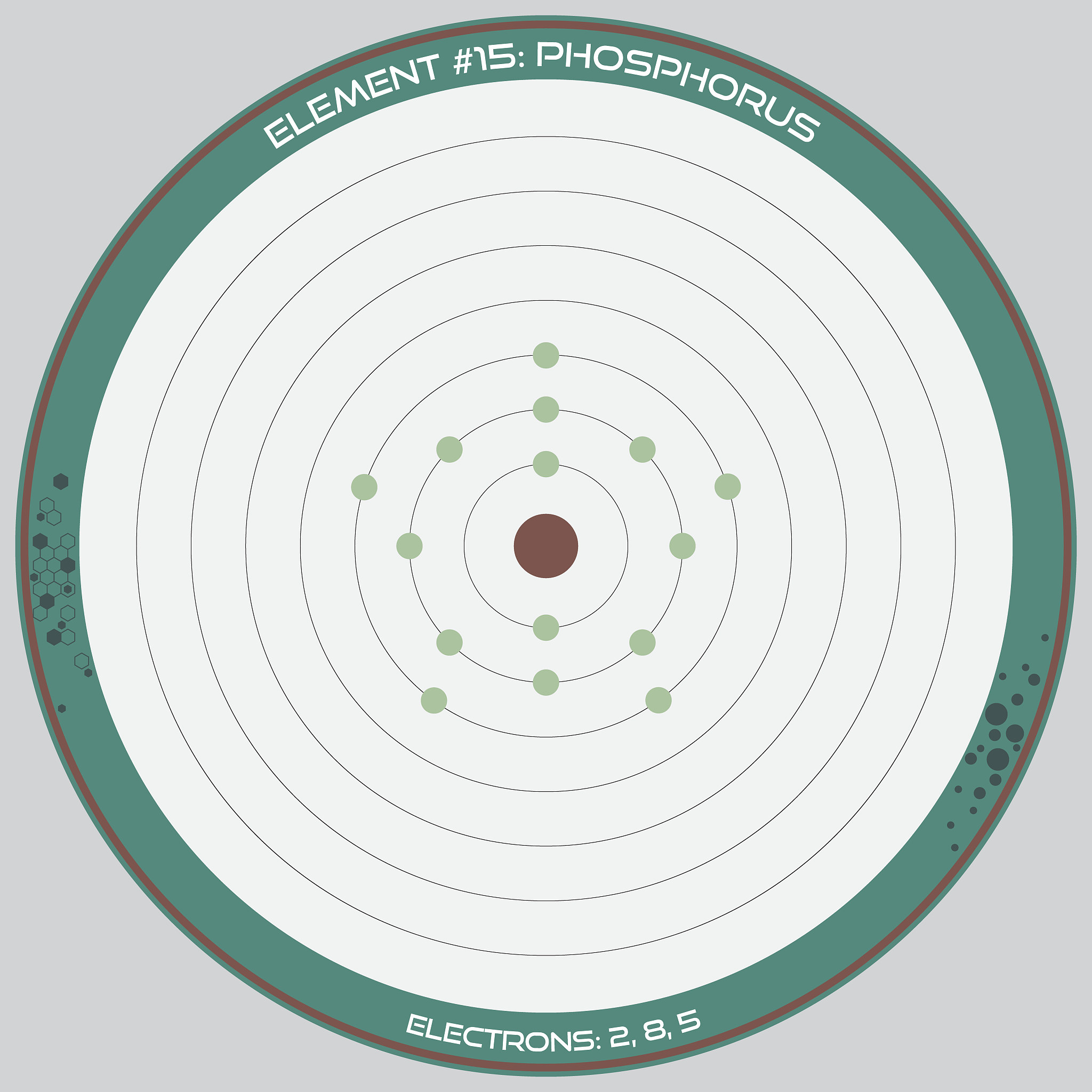 晚睡晚起对身体和学习能力的影响：从智商、肠道到五感