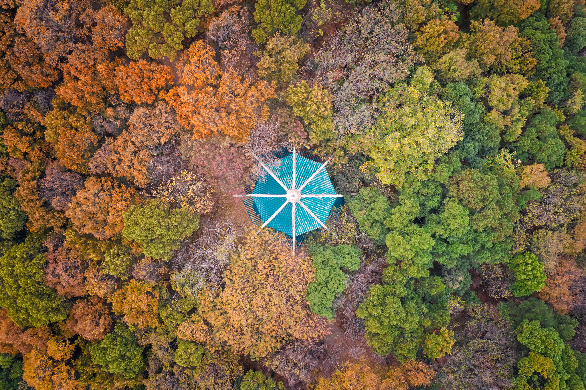 武汉大学排名及认可度详解 - 2023最新数据