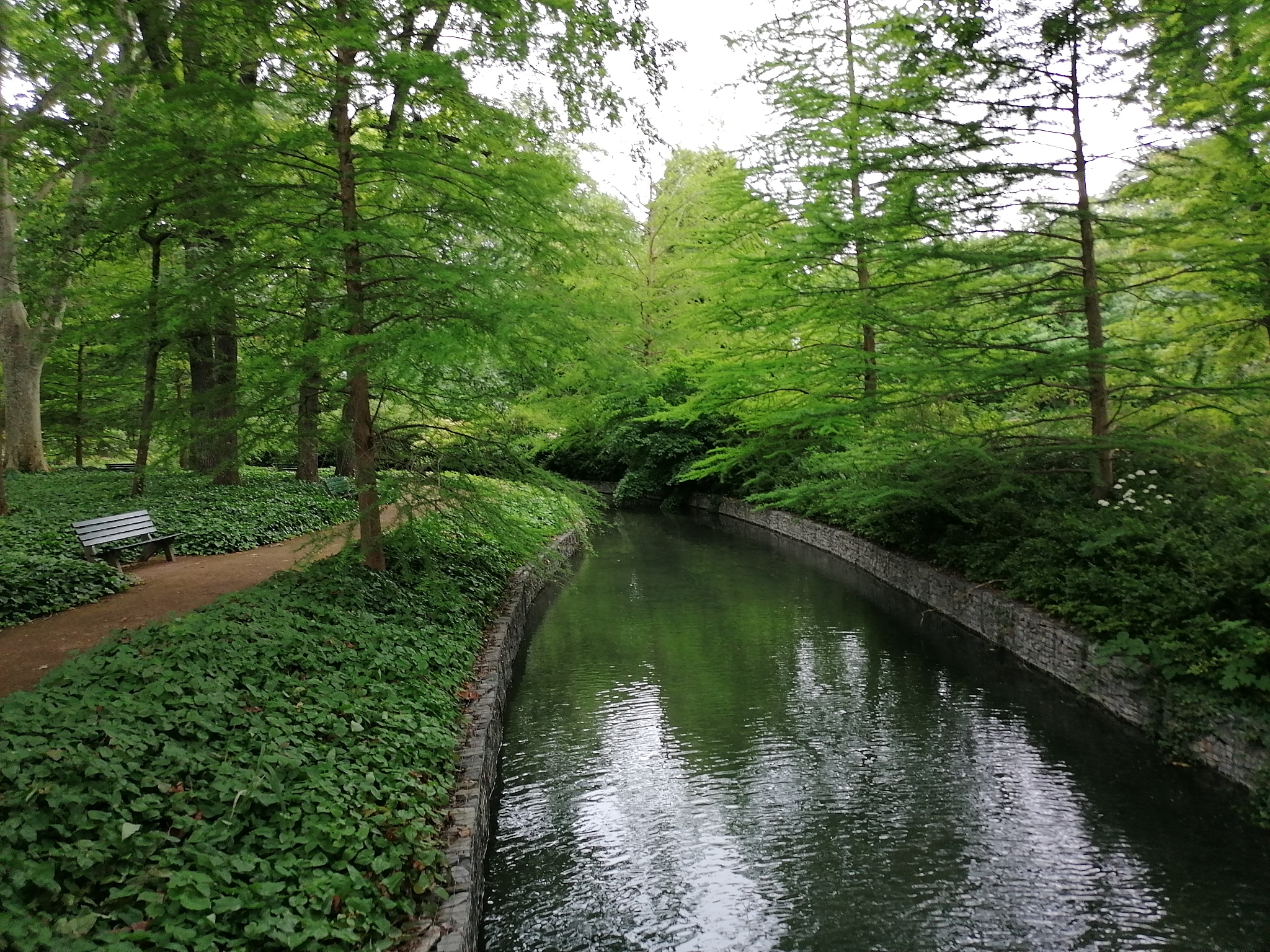 a river in the parc de la tête d'or.