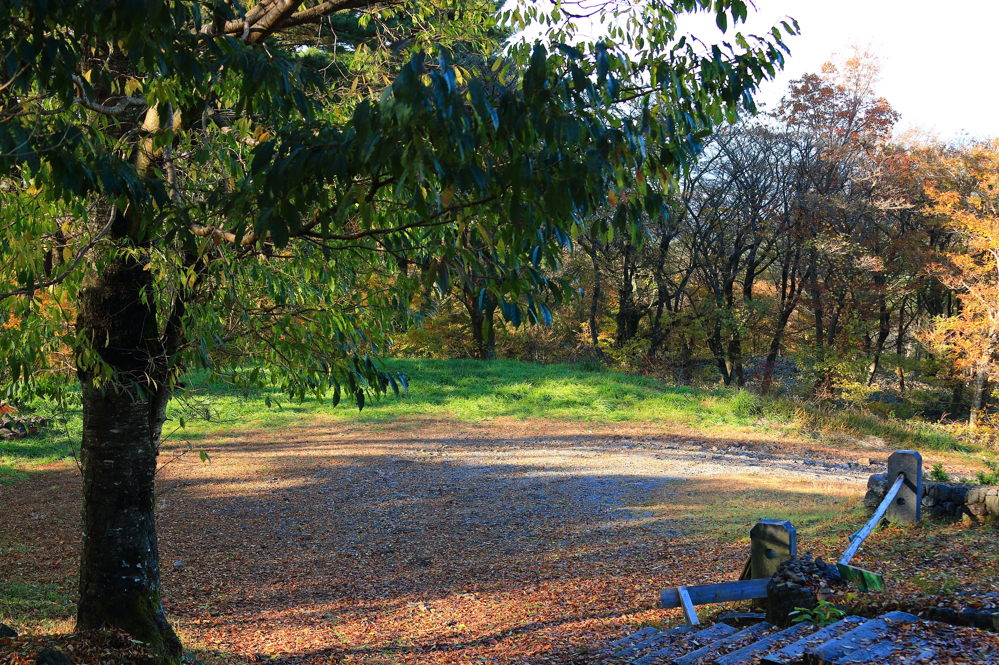 gwaneumsa, autumn, autumn leaves,