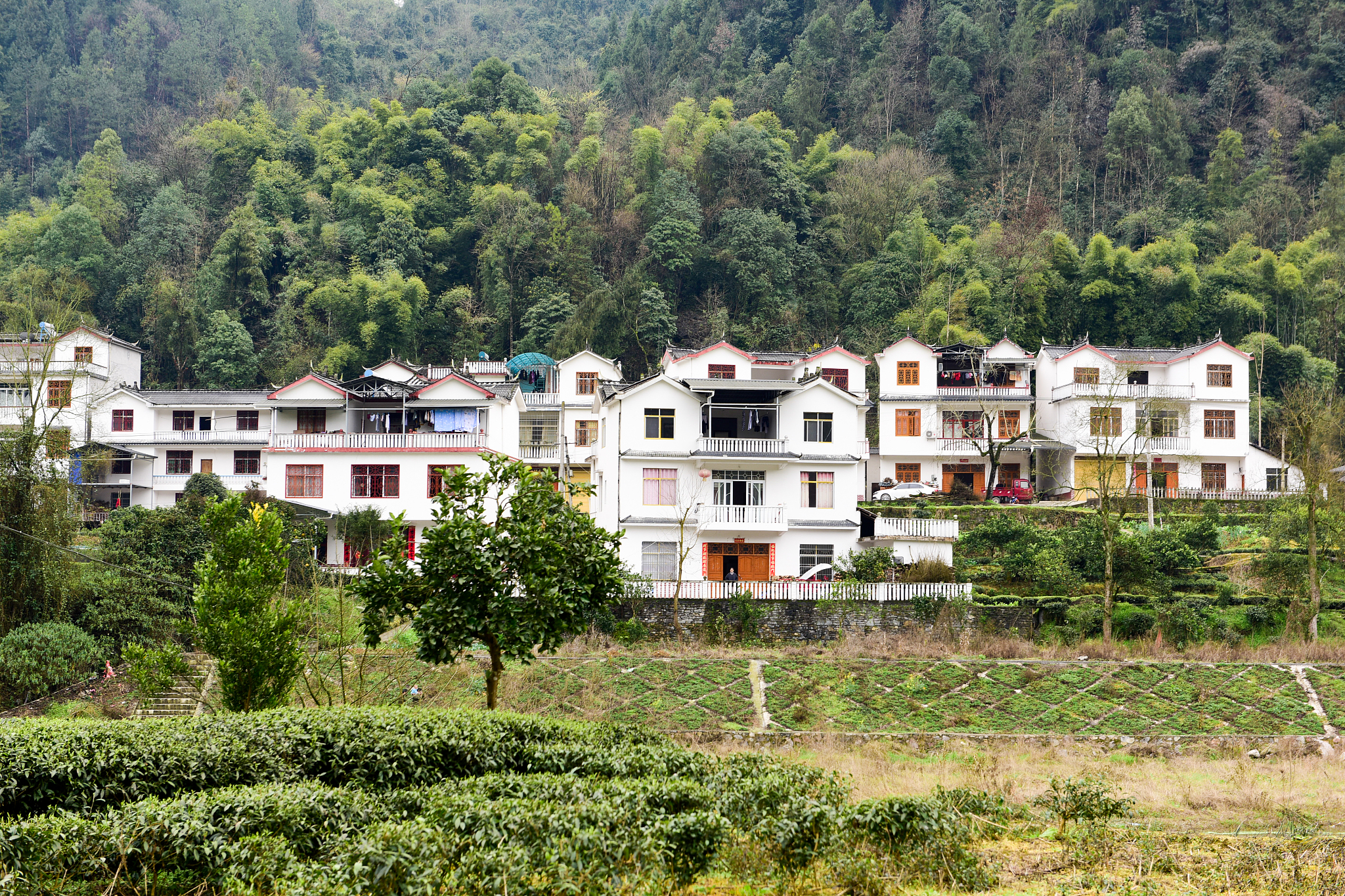 月坪村2023年巩固脱贫攻坚工作总结 - 乡村振兴取得显著成效