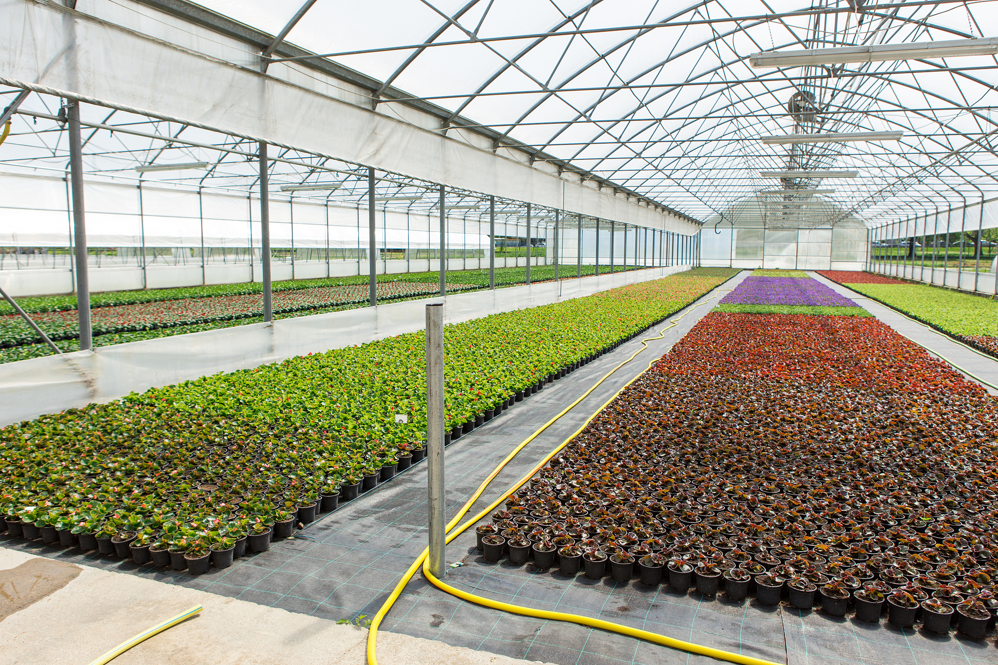 晋城职业技术学院设施农业技术专业怎么样？就业前景、课程设置解析