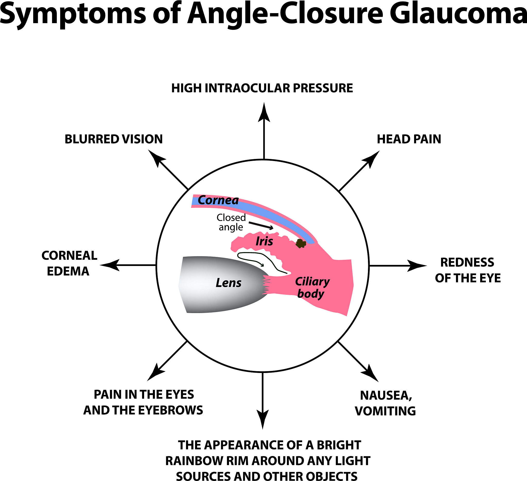 do you know Terminator