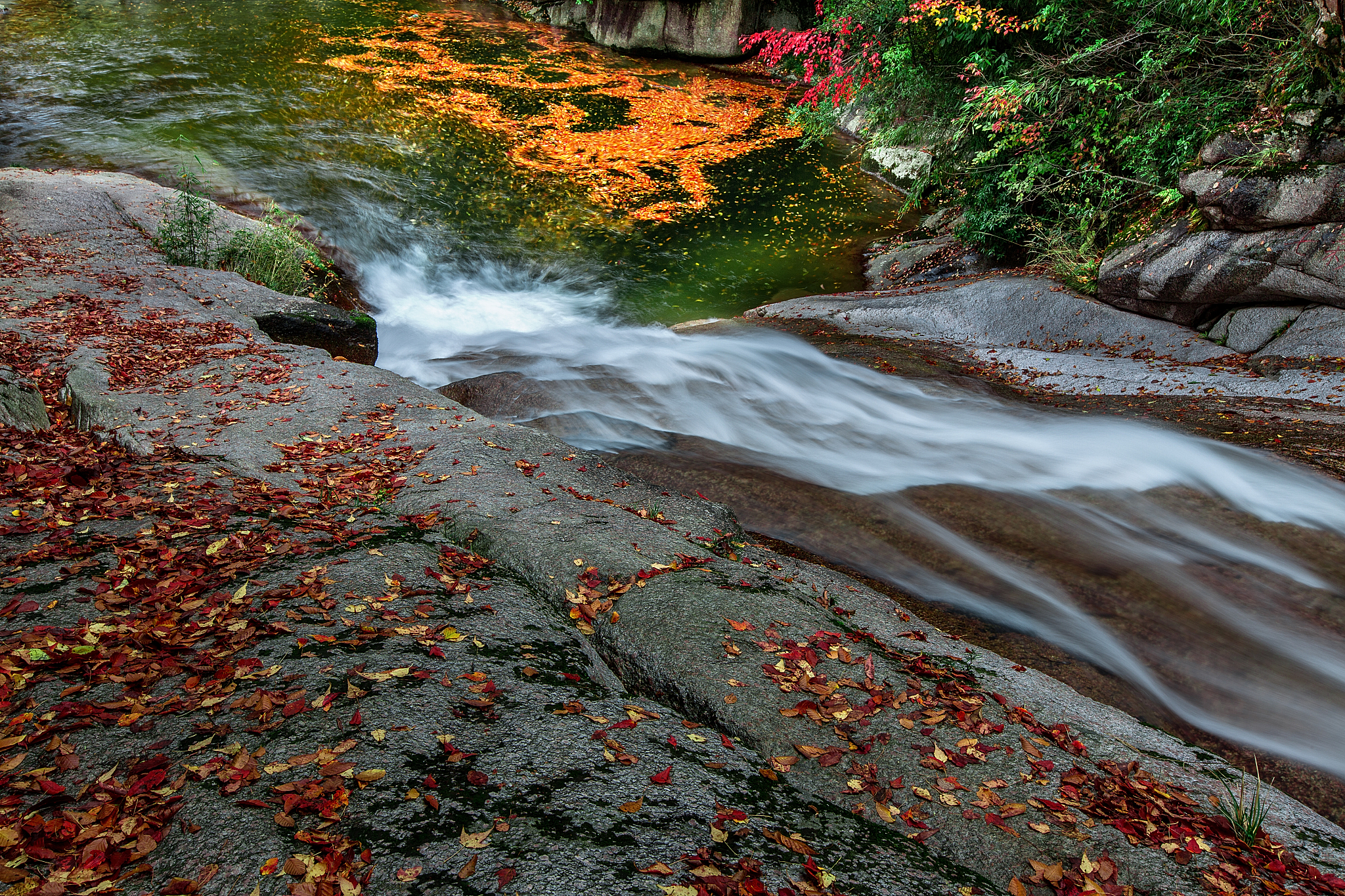 四川南江县职业中学农业专业：培养现代农业技术人才