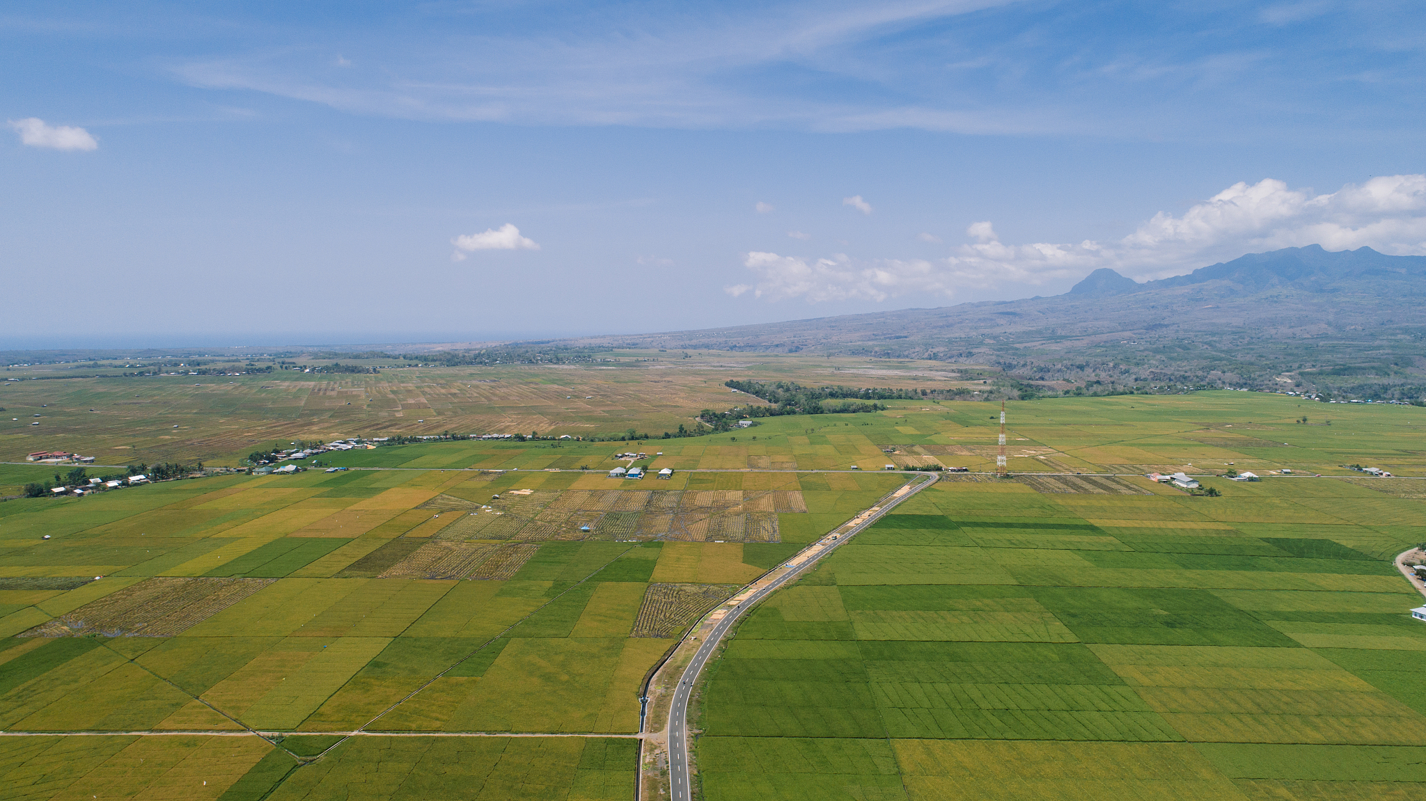 aerial rice fields, flores, nusa tenggara, indonesia