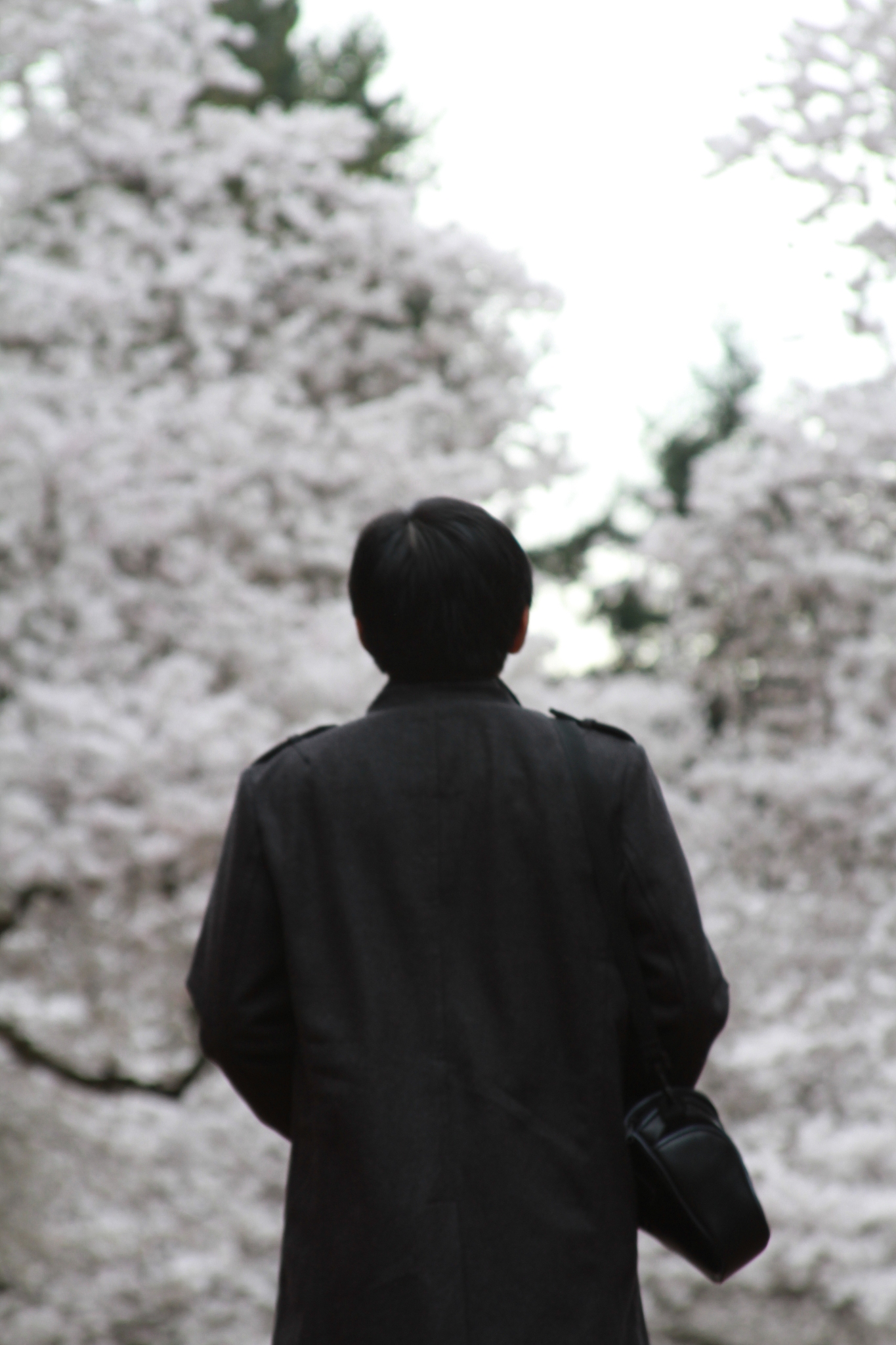 男性背影描写：坚毅、绅士、可靠