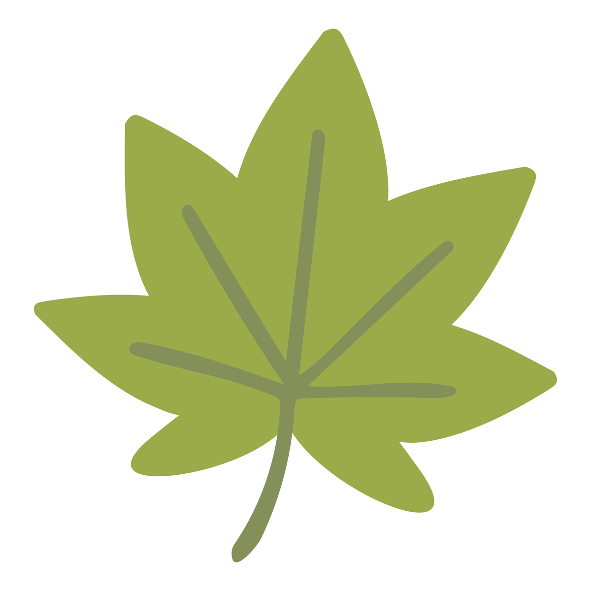 梧桐叶叶缘：寓意深远的传统文化符号